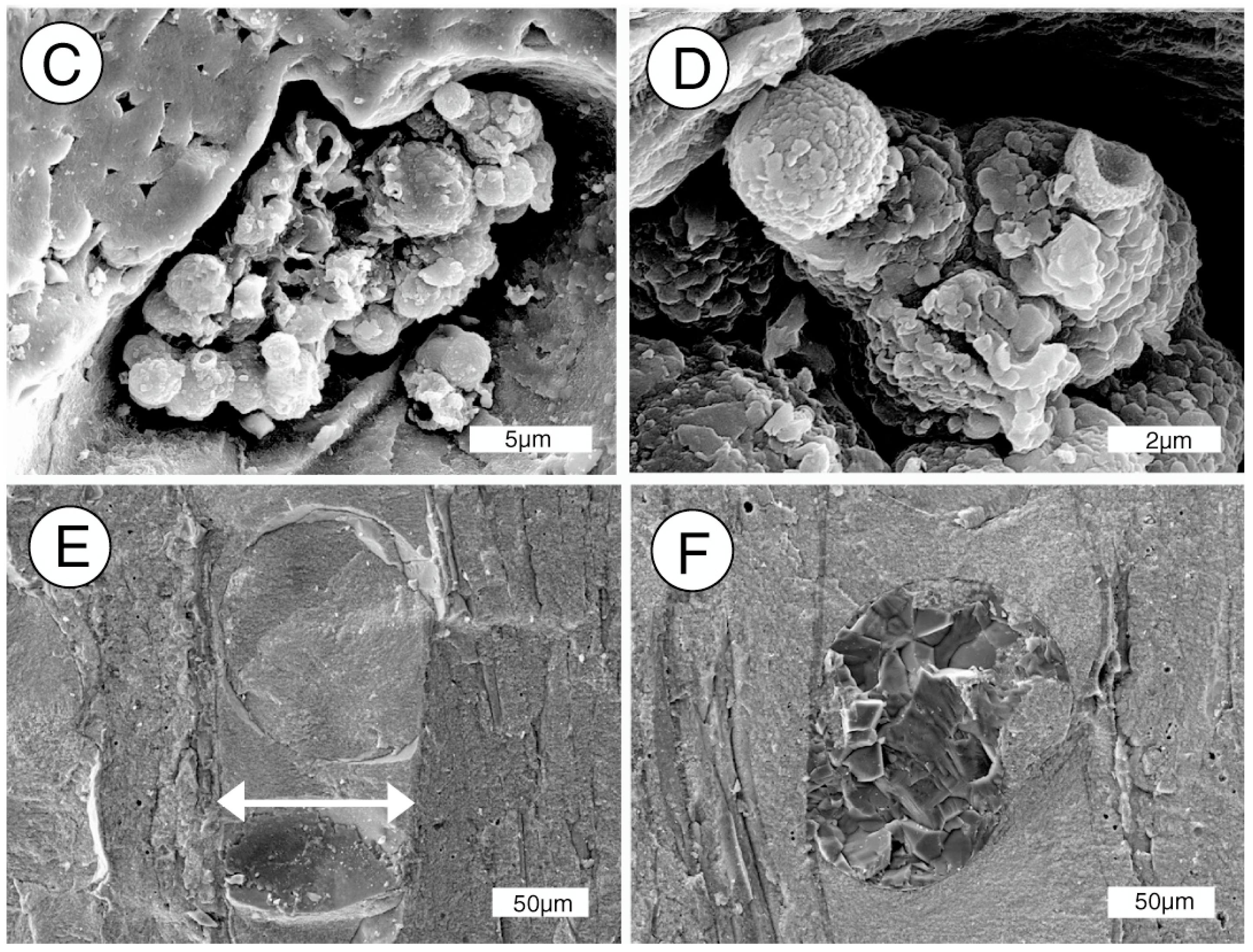 Geosciences 07 00023 g014b