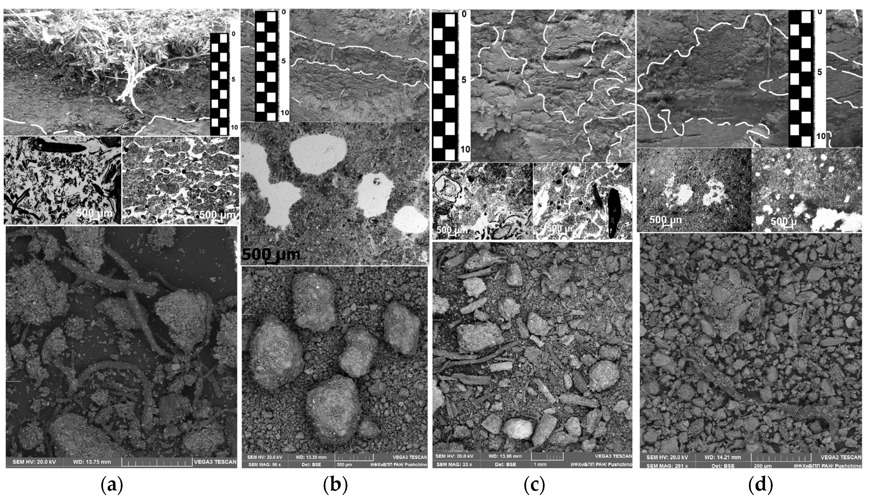 Geosciences 07 00024 g003