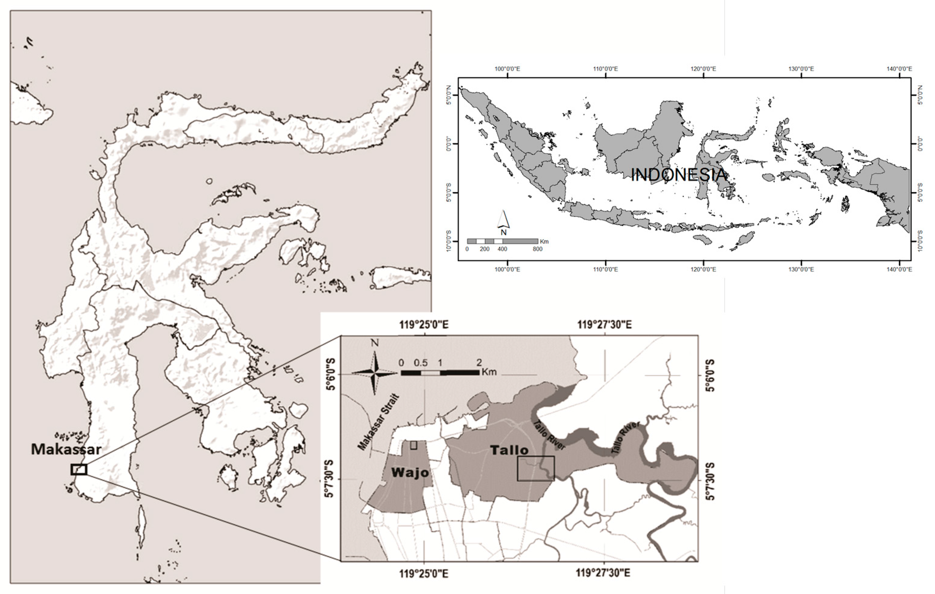 What's behind the toxic levels of mercury in tropical birds? Gold