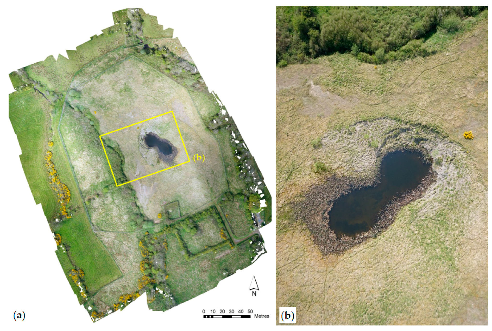 Geosciences 07 00051 g007 550