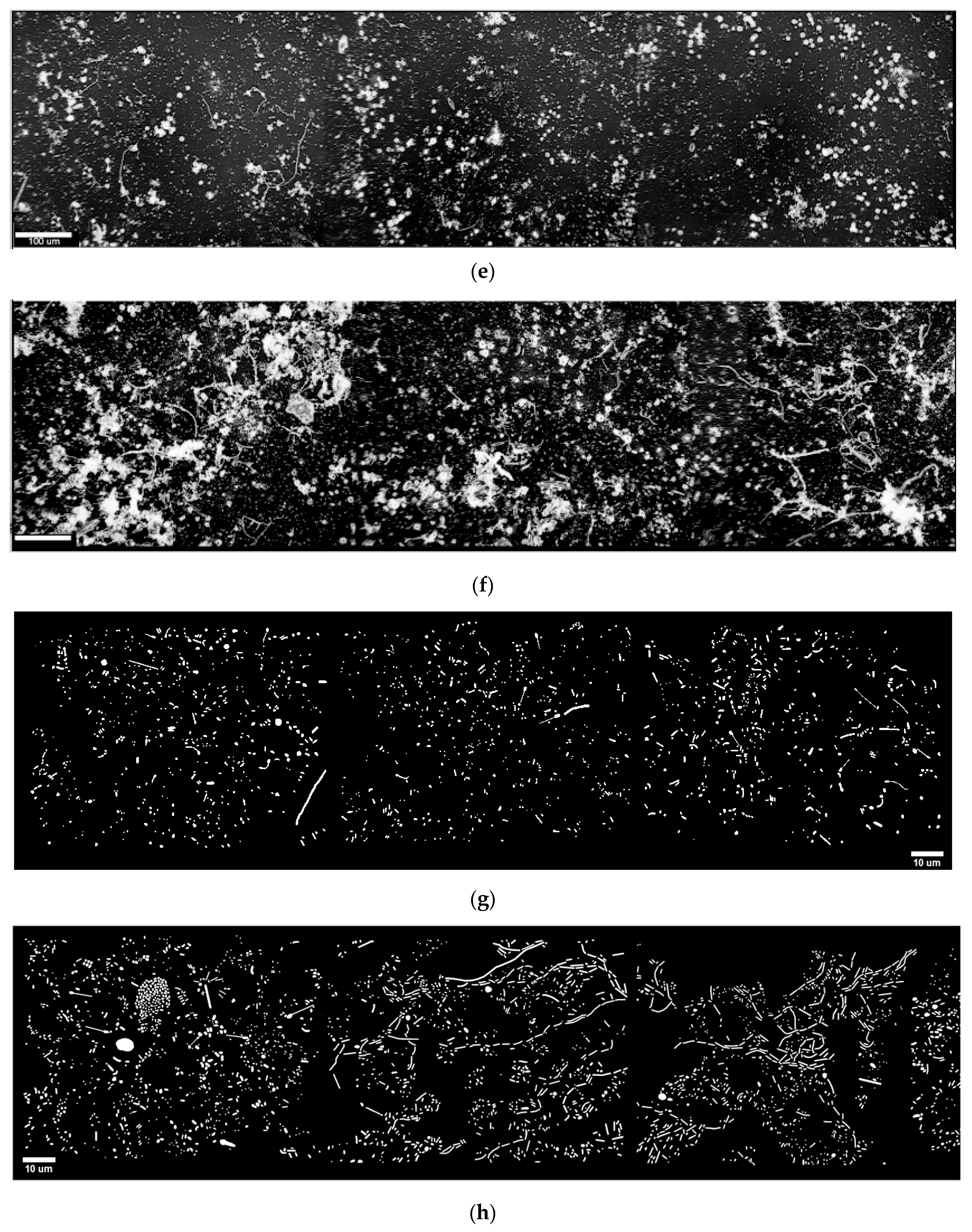 Geosciences 07 00056 g001b 550
