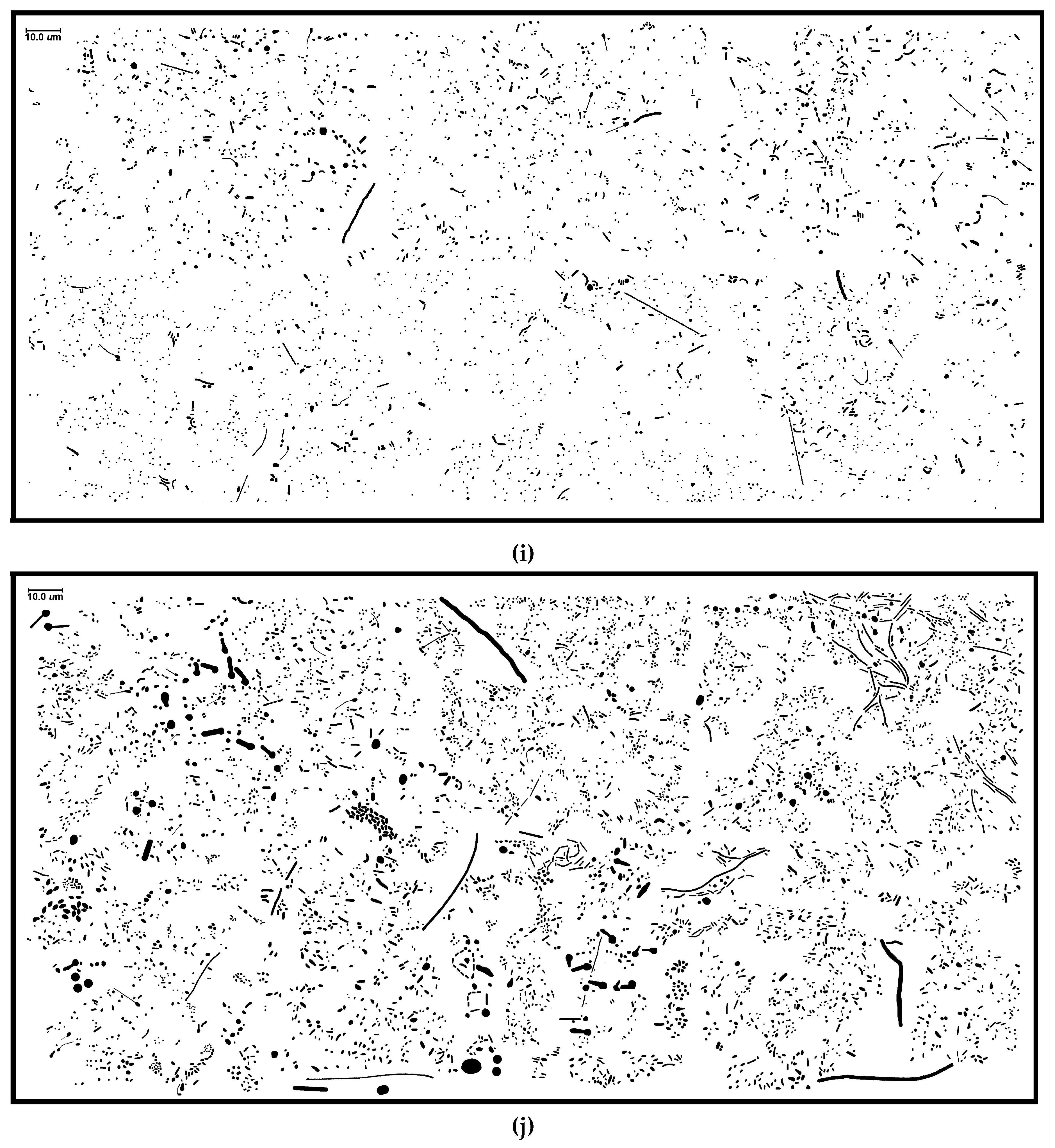 Geosciences 07 00056 g001c 550