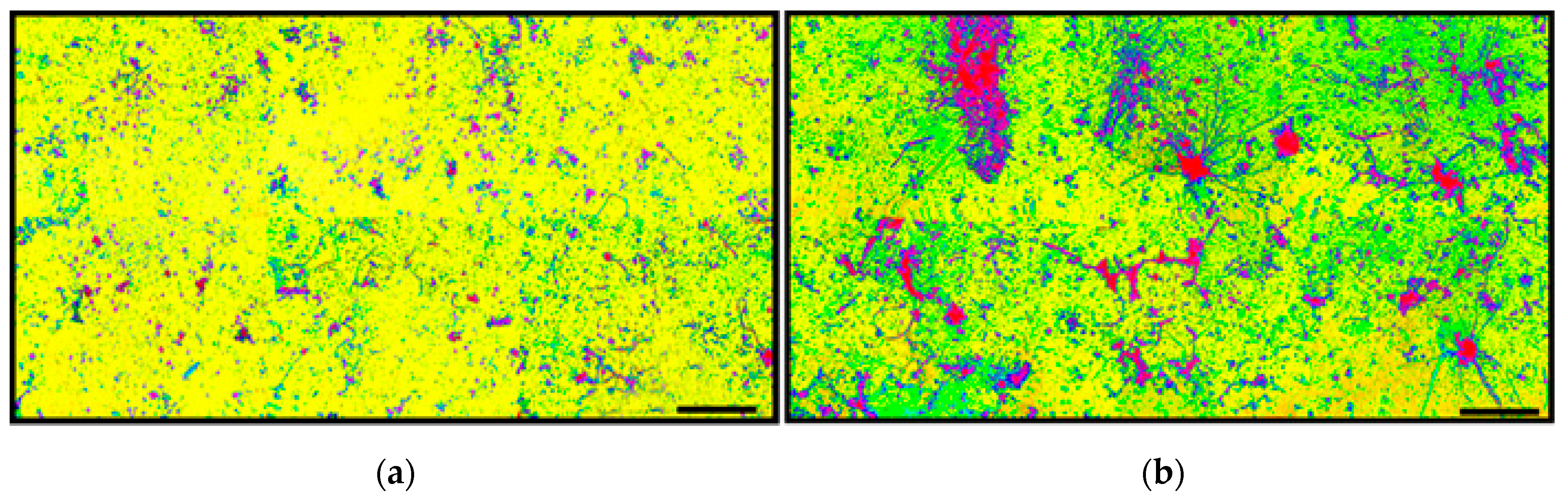 Geosciences 07 00056 g004 550