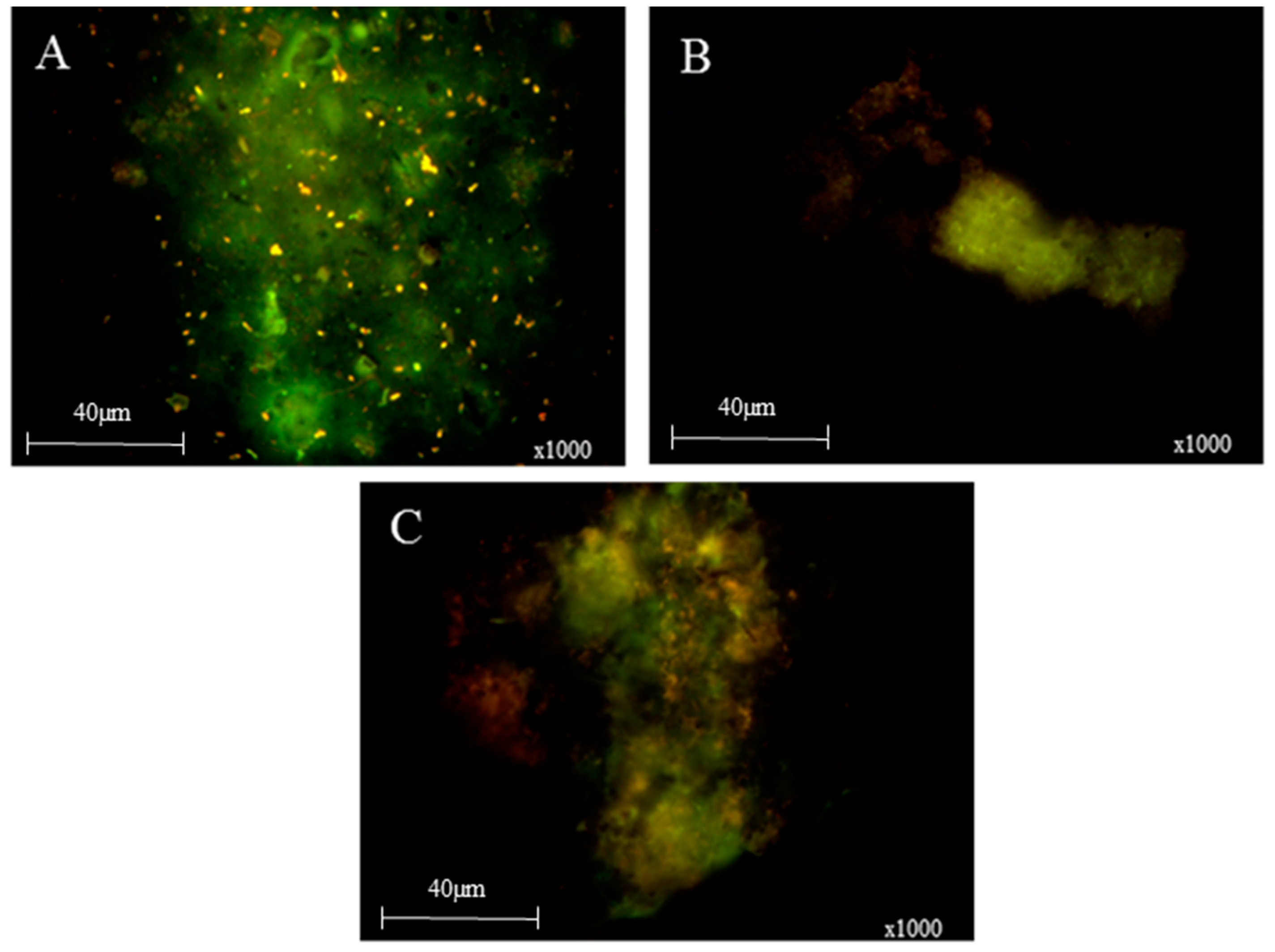 Geosciences 07 00057 g002 550