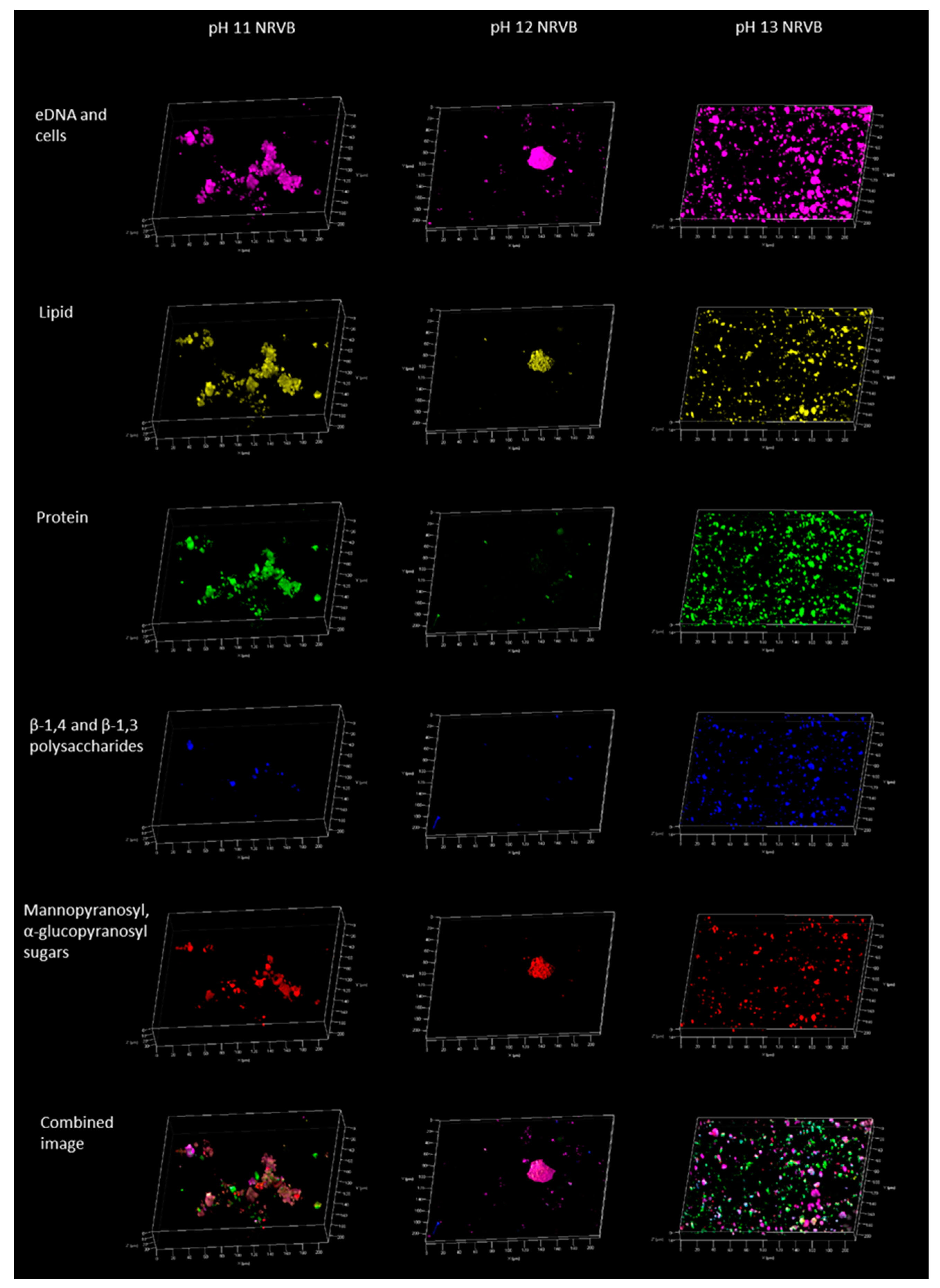 Geosciences 07 00057 g003 550