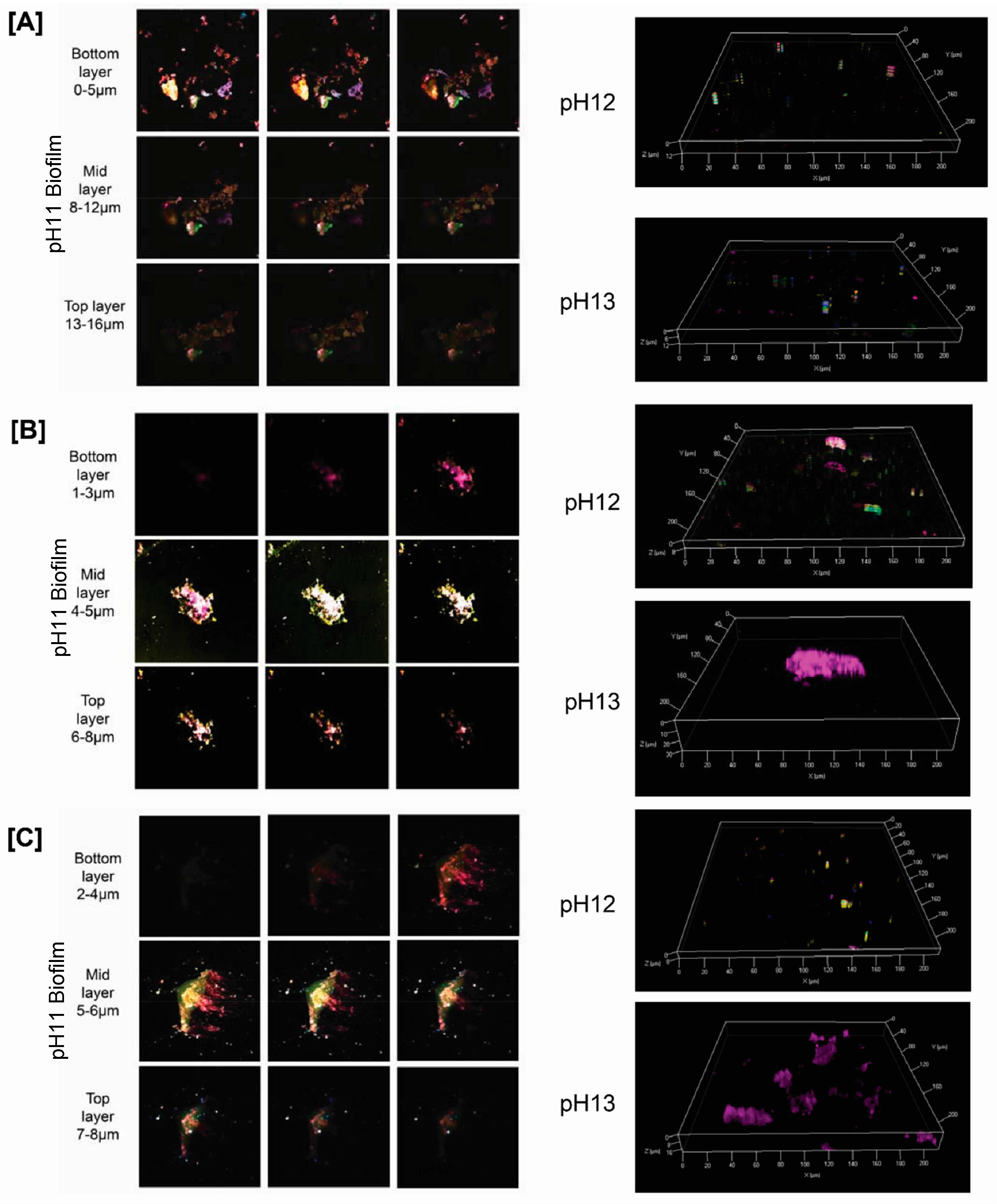 Geosciences 07 00057 g005 550