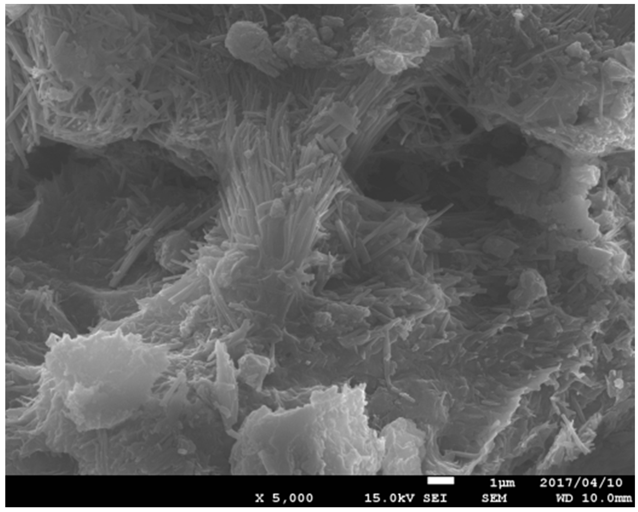 Geosciences 07 00061 g001 550