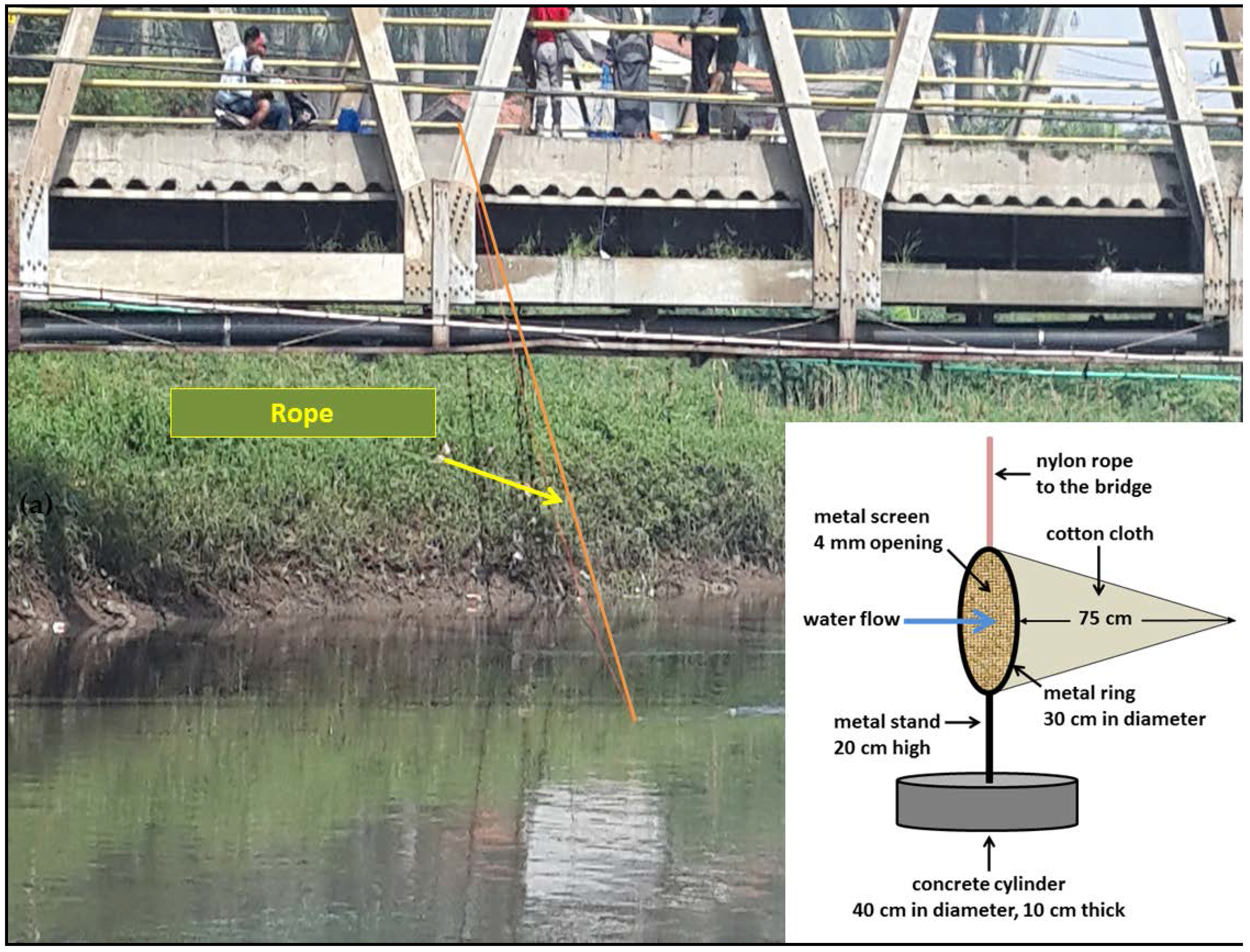 Geosciences 07 00066 g002