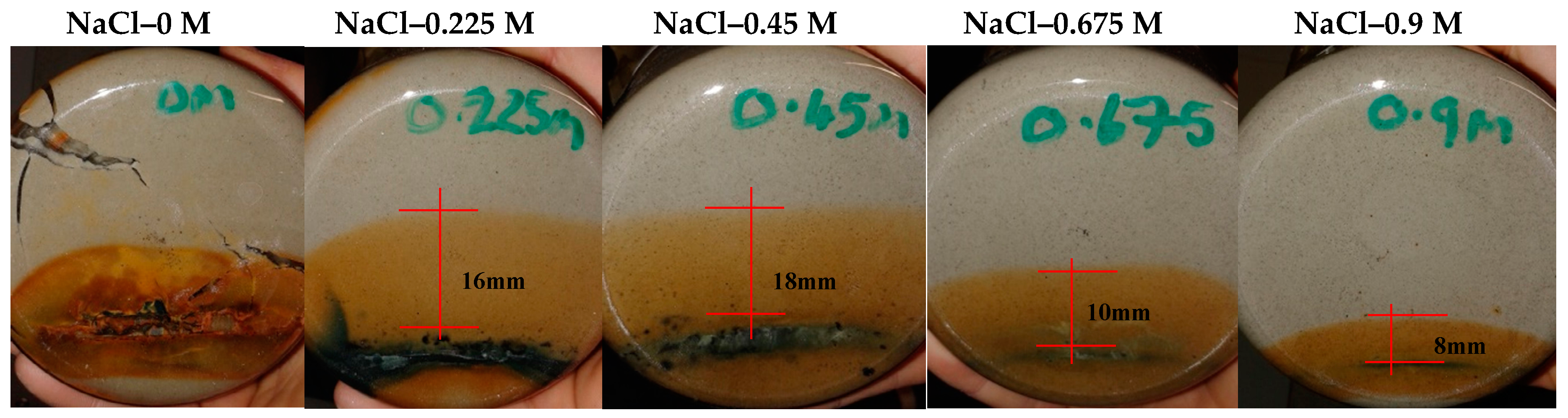 Geosciences 07 00069 g010