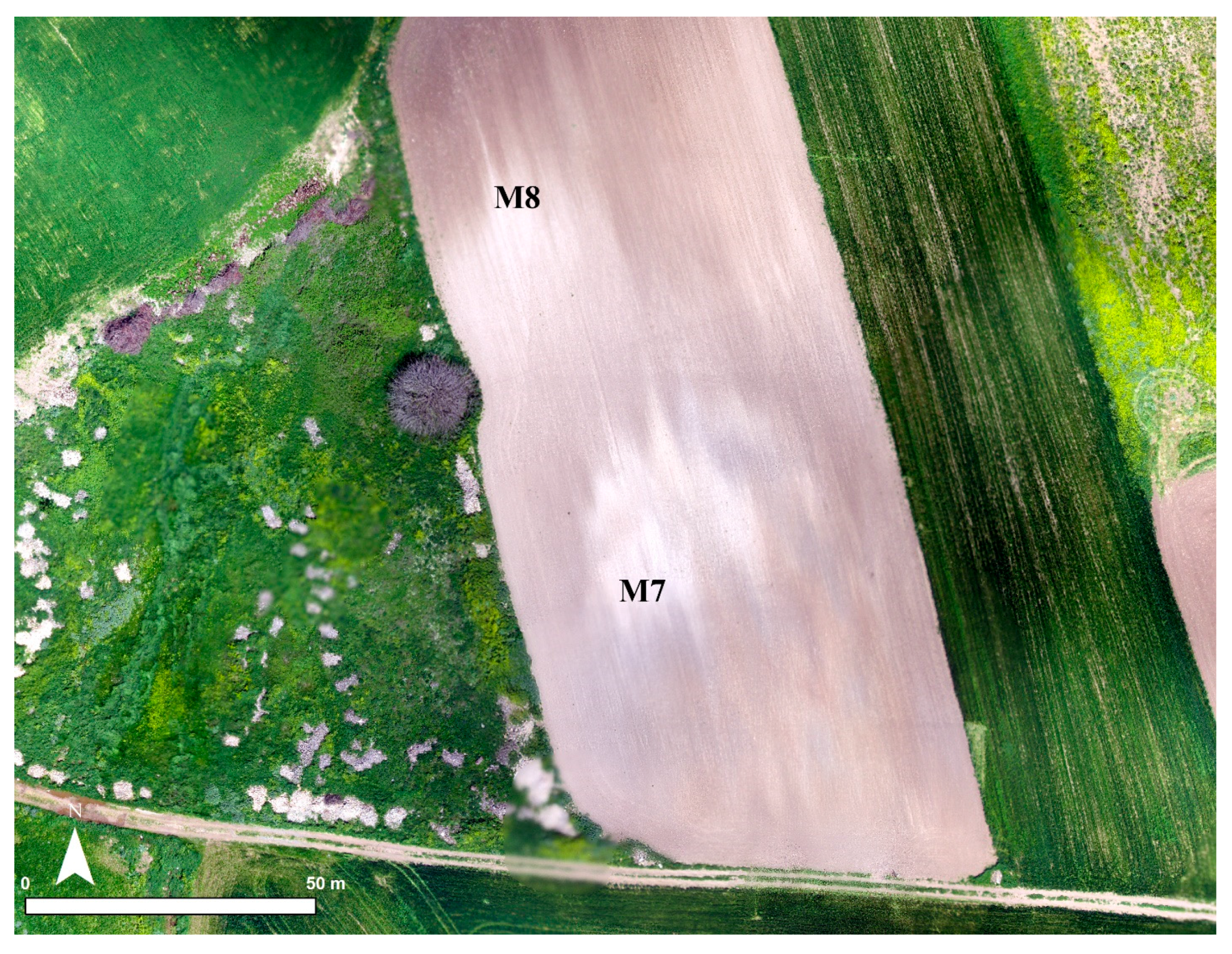 Geosciences 07 00079 g019 550