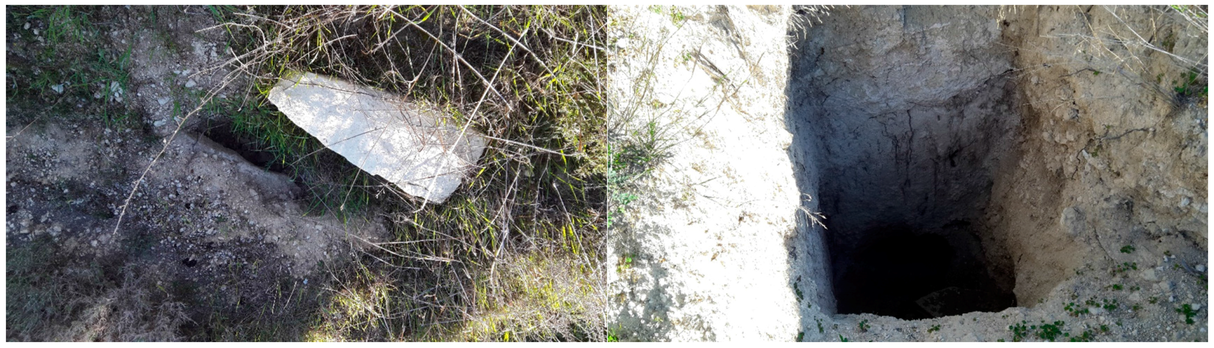 Geosciences 07 00098 g003