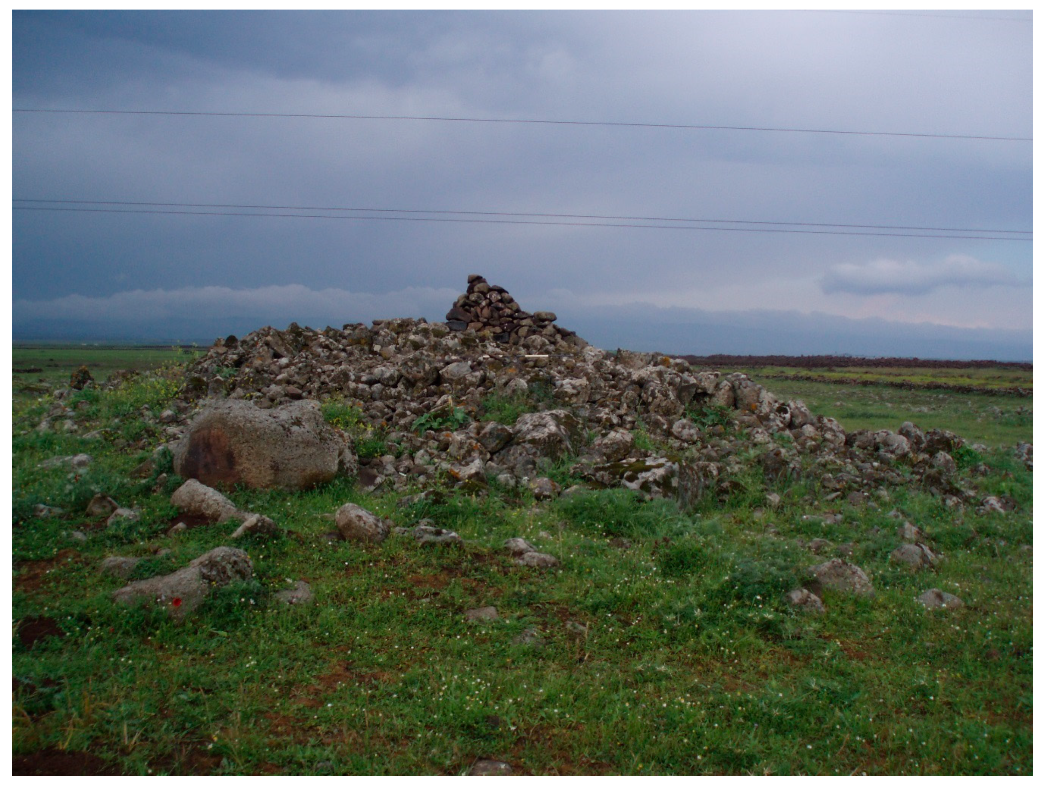 Geosciences 07 00100 g011