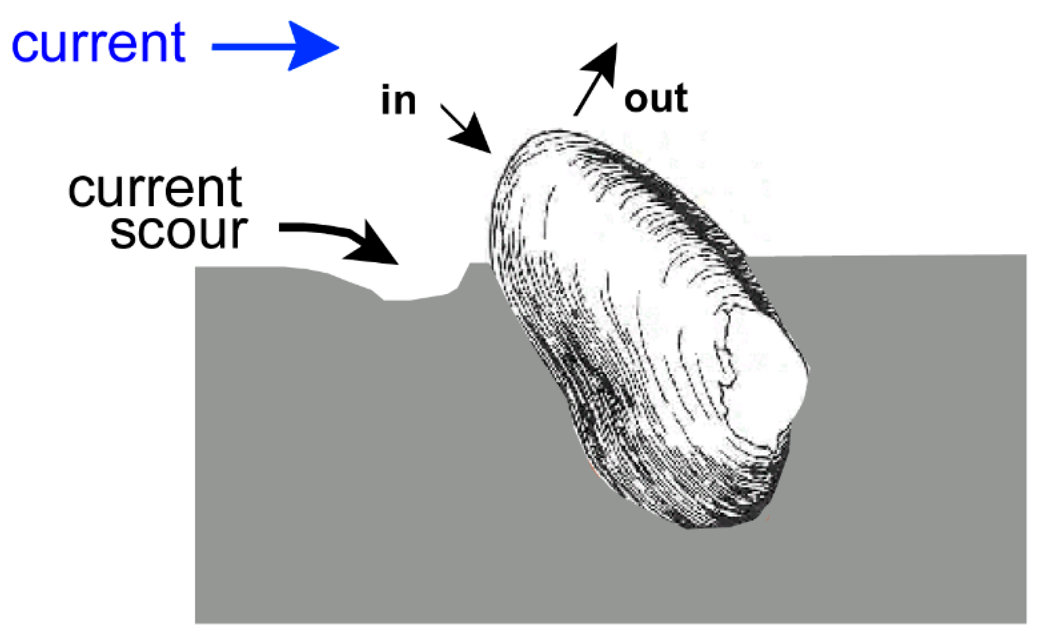 Geosciences 07 00102 g002