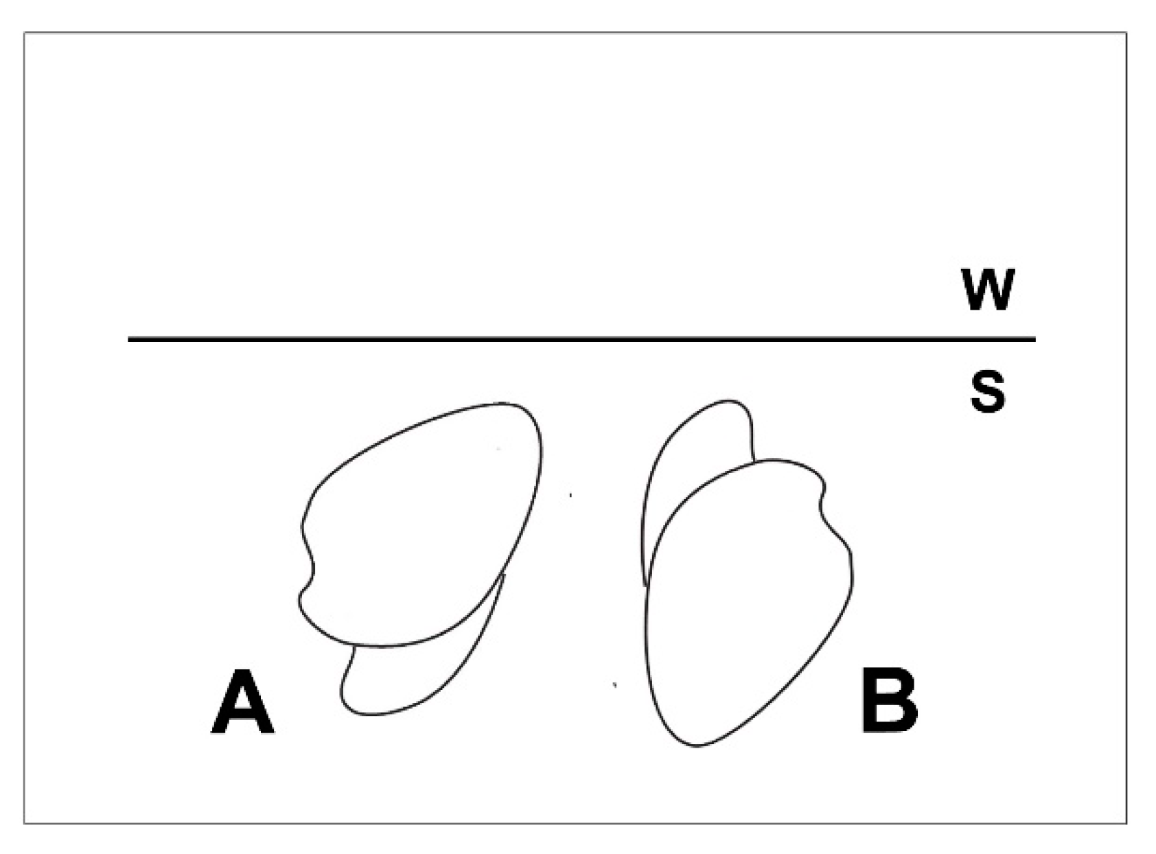 Geosciences 07 00102 g004