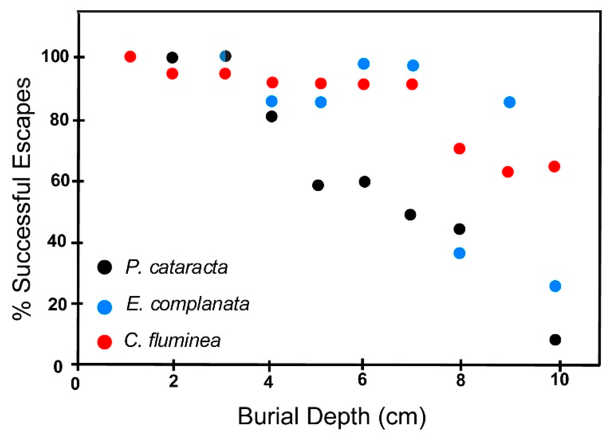 Geosciences 07 00102 g010