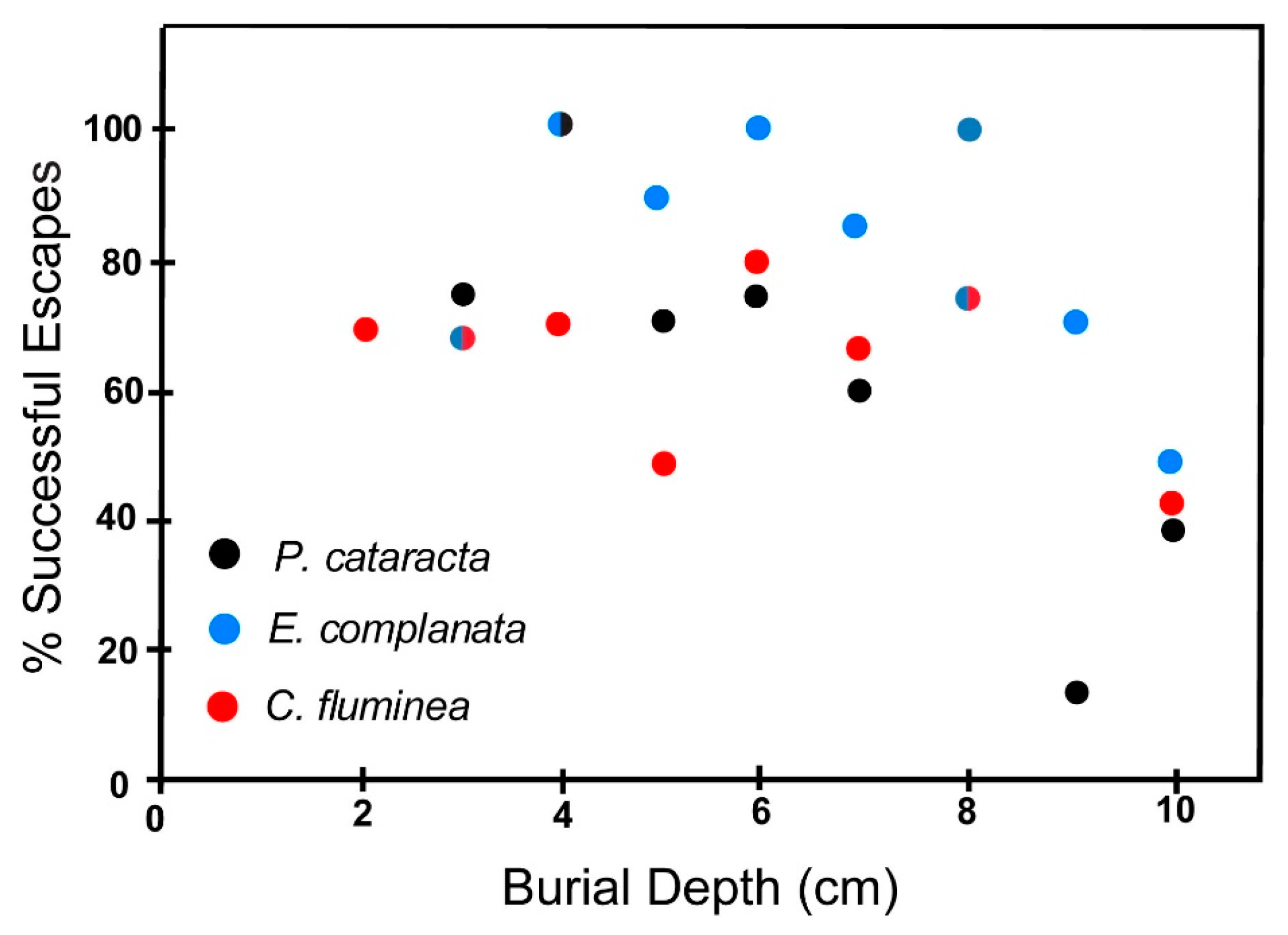 Geosciences 07 00102 g011