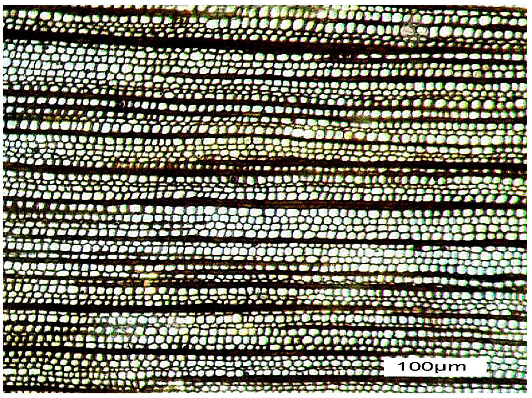 Geosciences 07 00119 g001 550