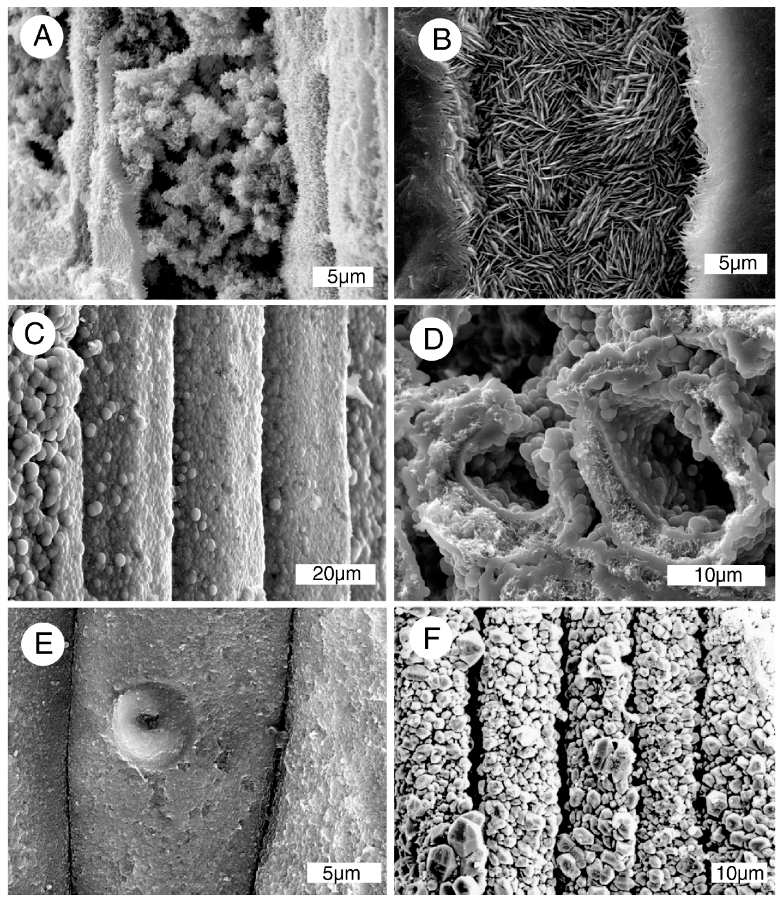 Geosciences 07 00119 g003 550
