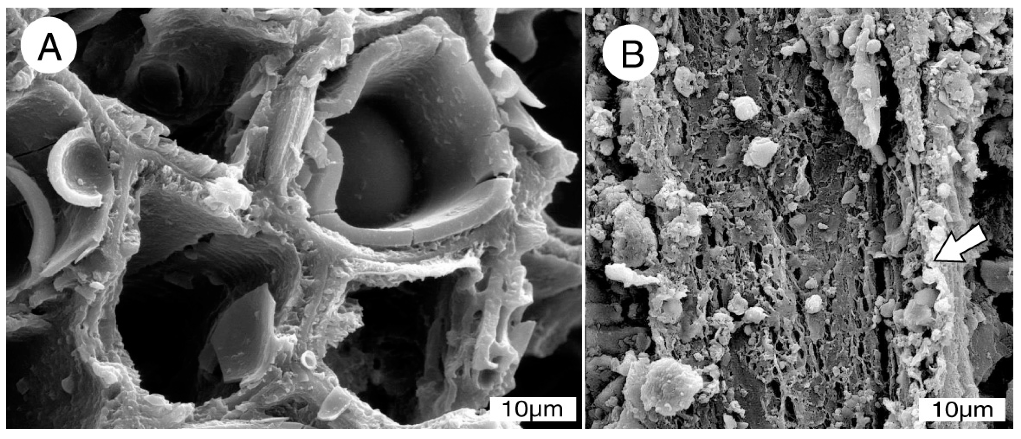 Geosciences 07 00119 g010 550