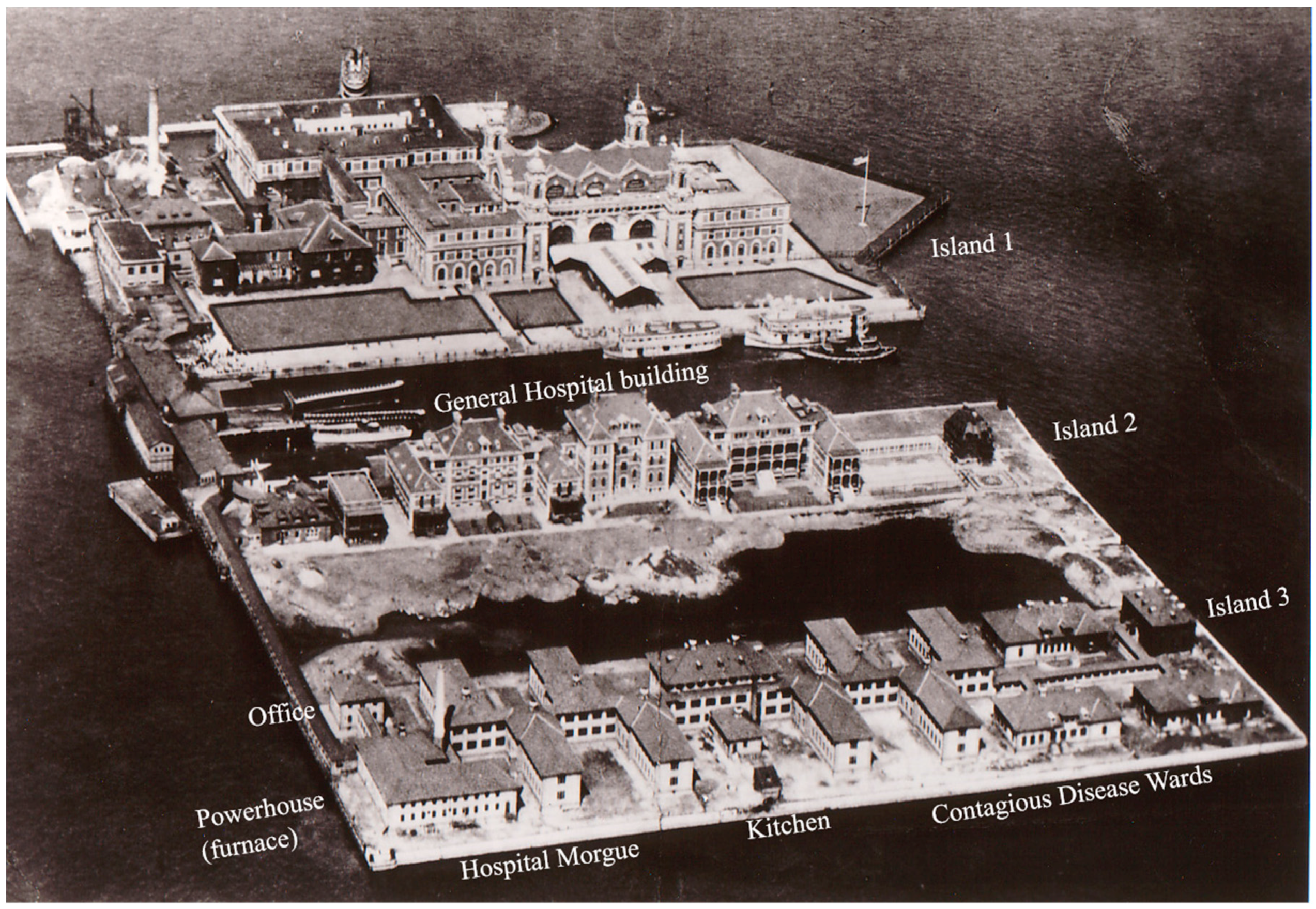 Geosciences 08 00013 g001 550