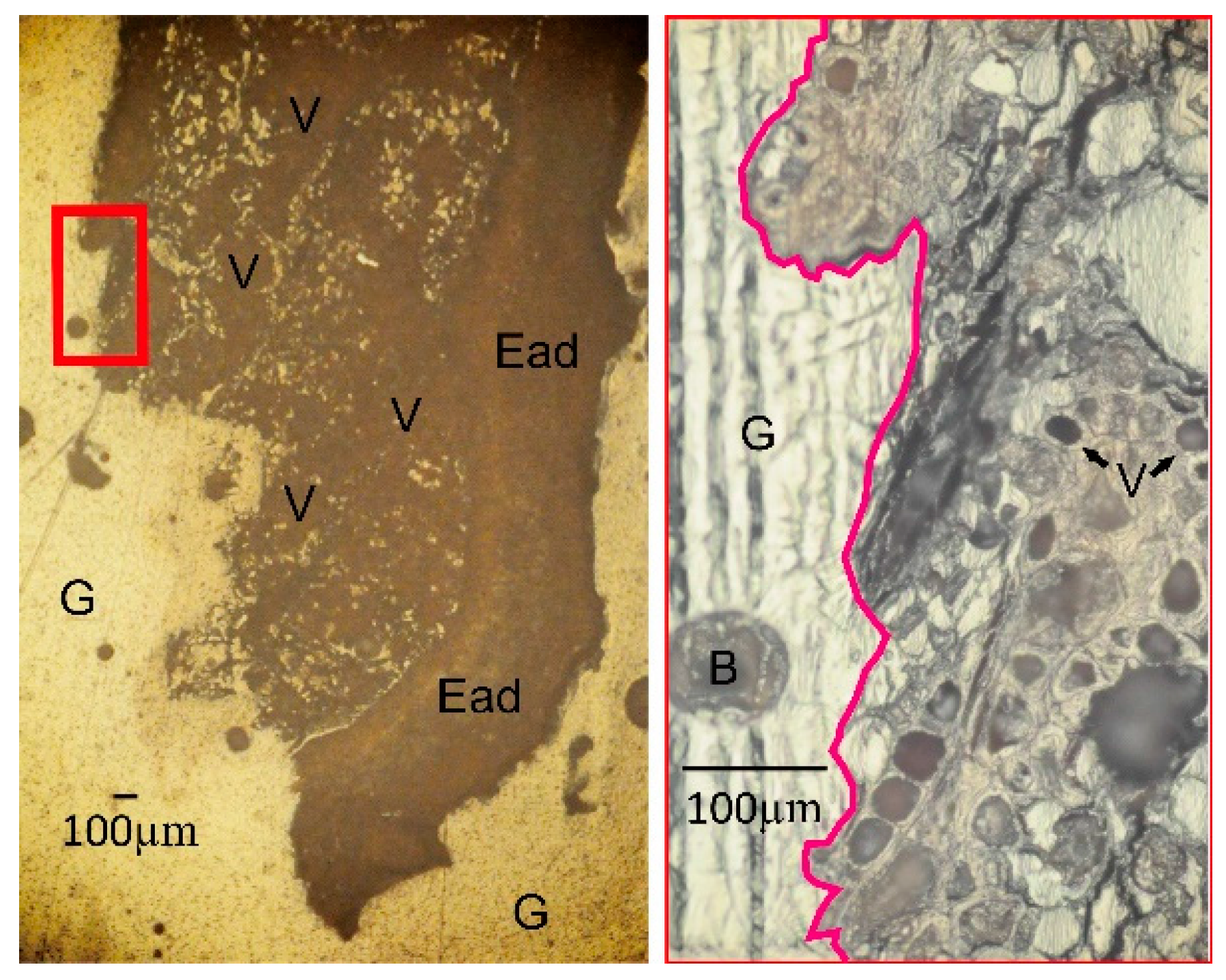 Geosciences 08 00031 g002