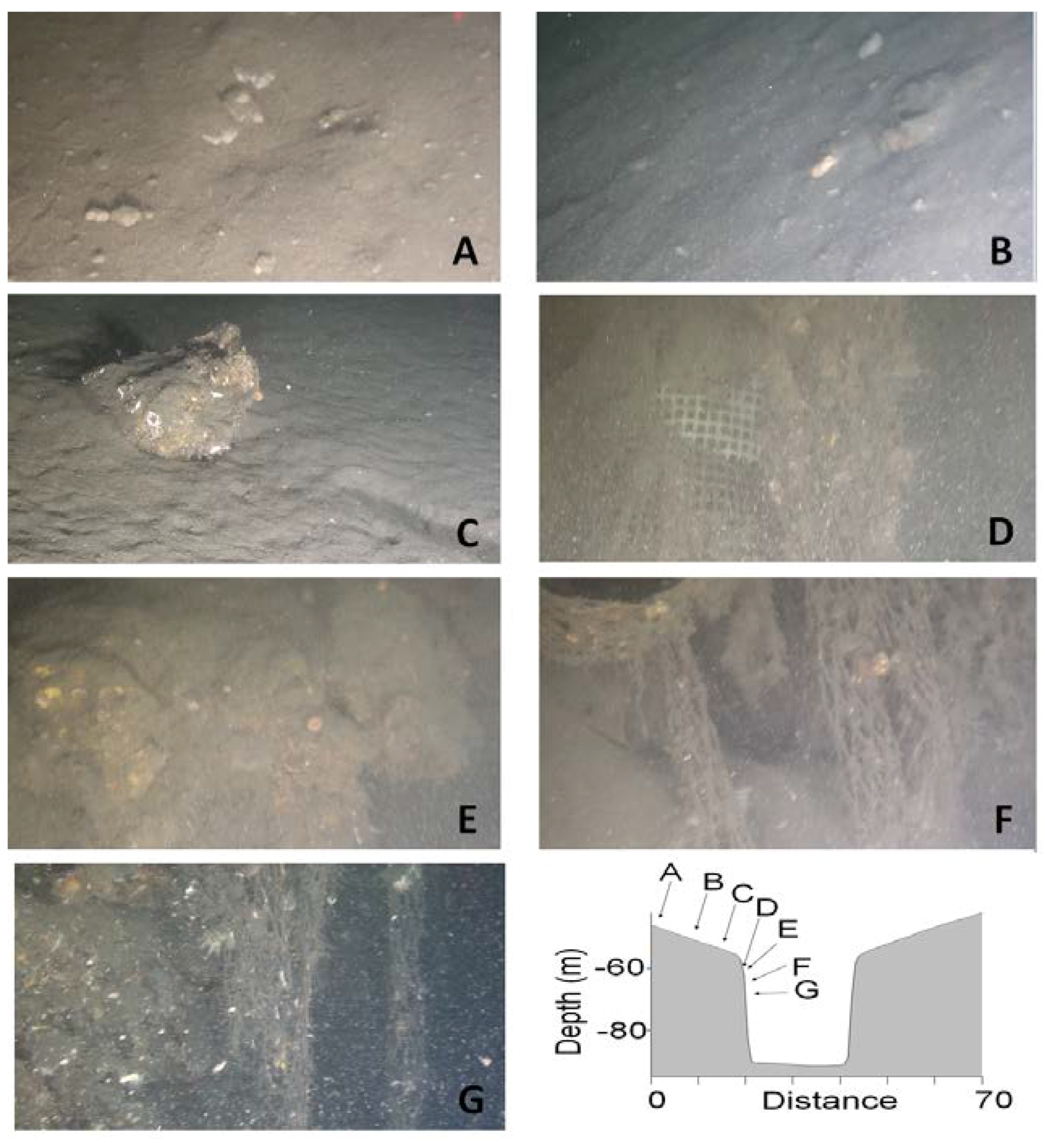 Geosciences 08 00060 g008 Geosciences 08 00060 g008