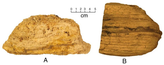 A common carbonate mineral often a replacement mineral in fossils