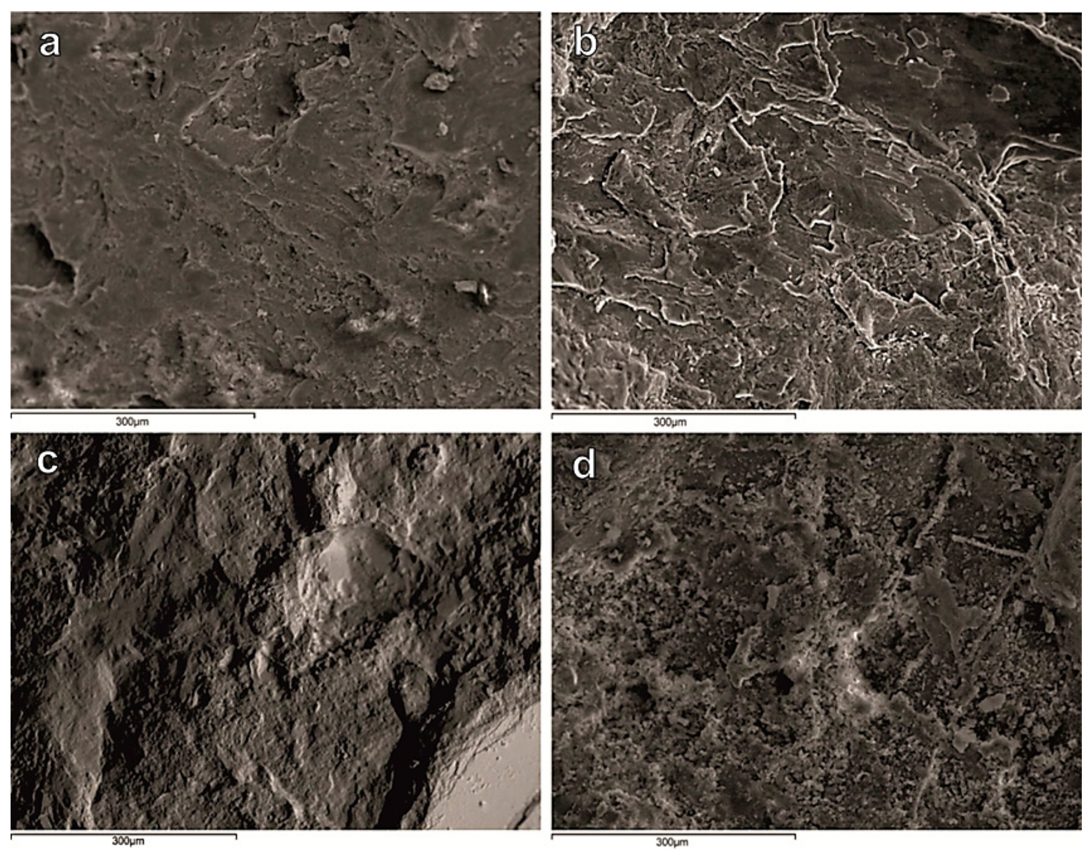 Geosciences 08 00115 g006 550