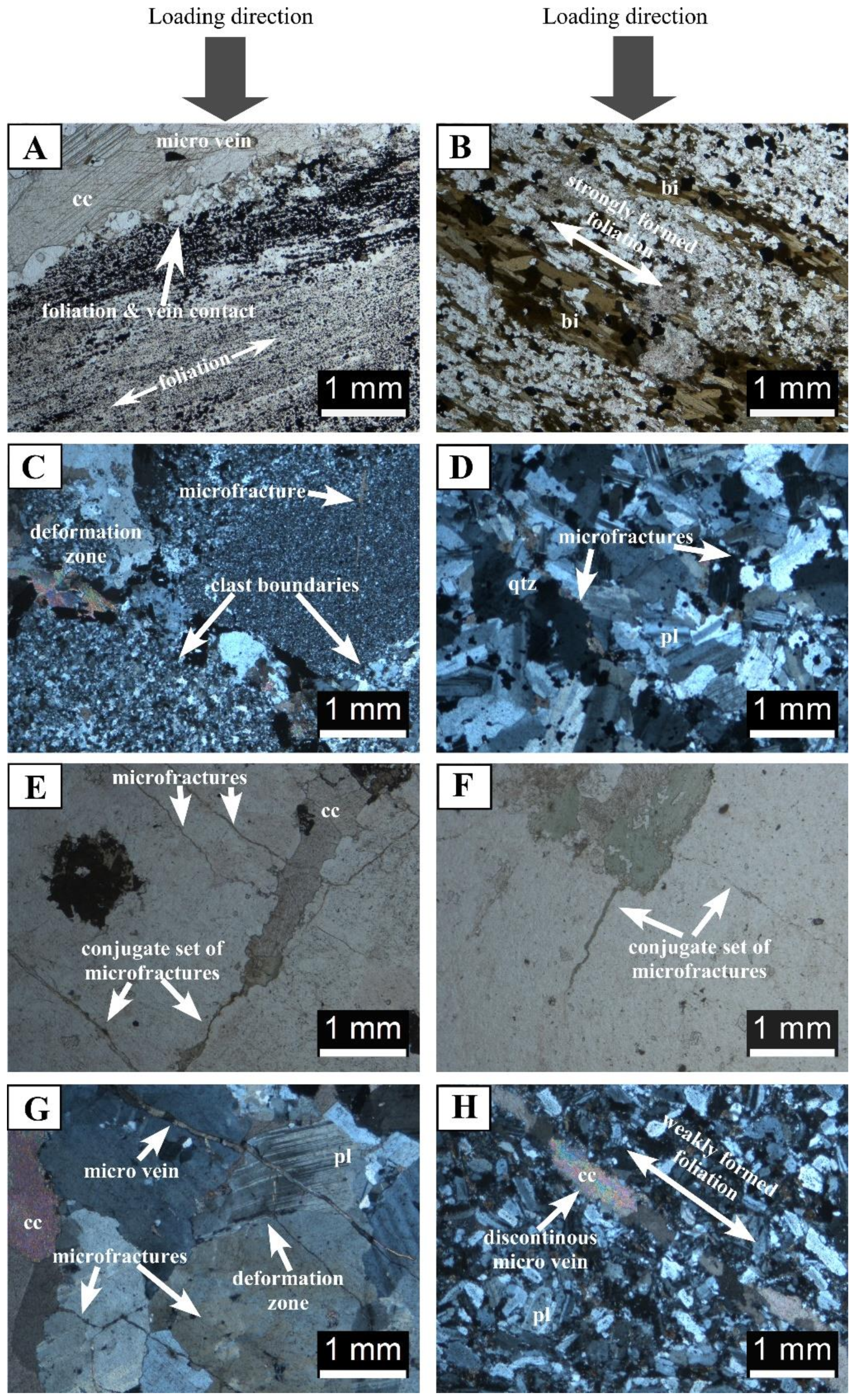 Geosciences 08 00124 g002