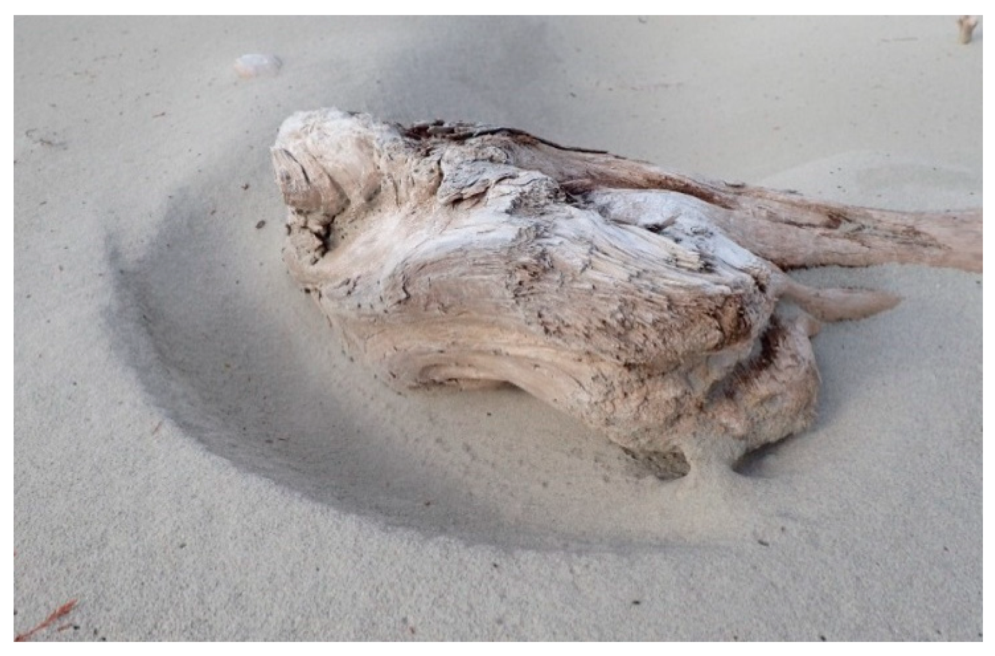 Geosciences 08 00147 g003