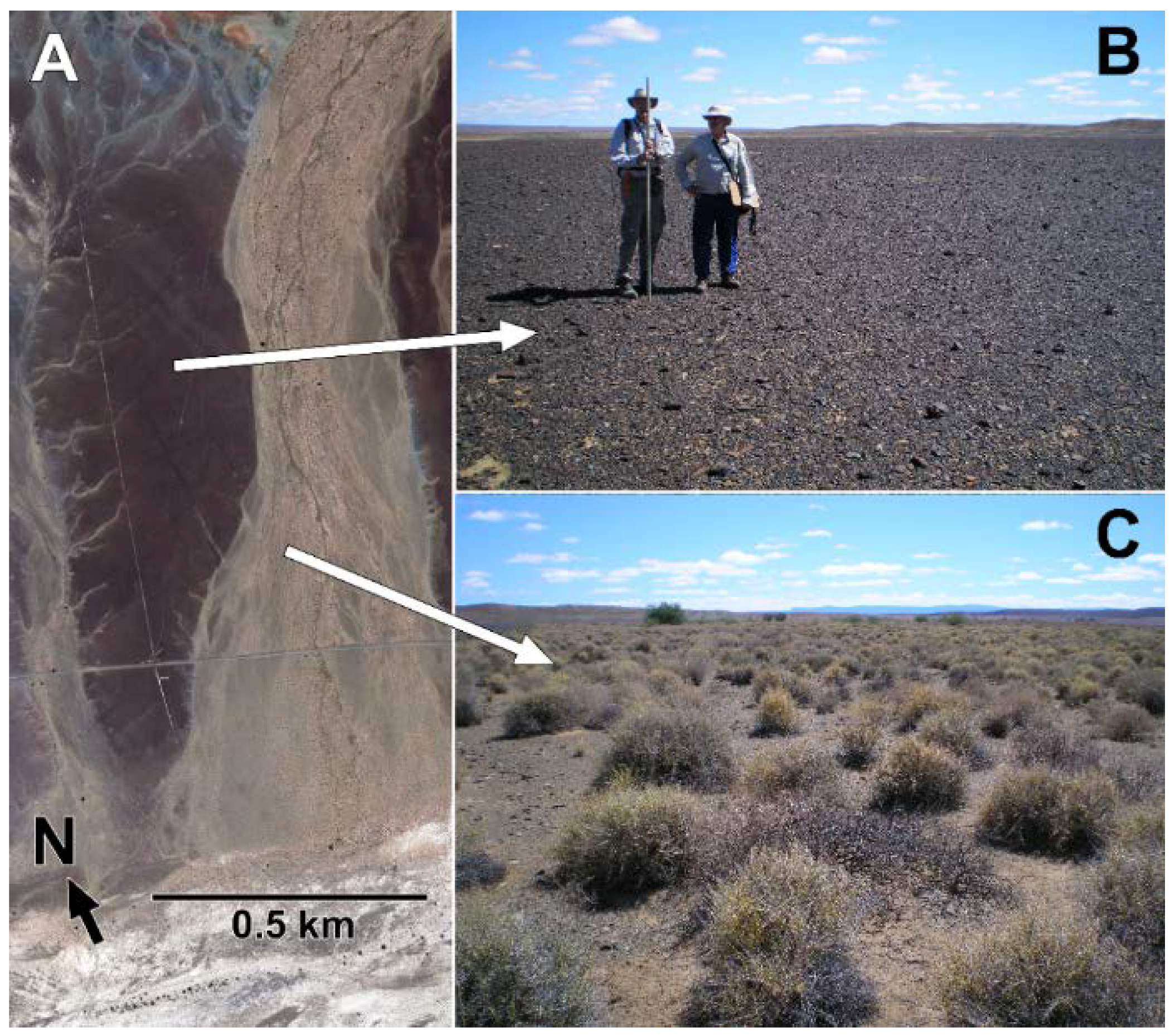 Geosciences 08 00171 g006