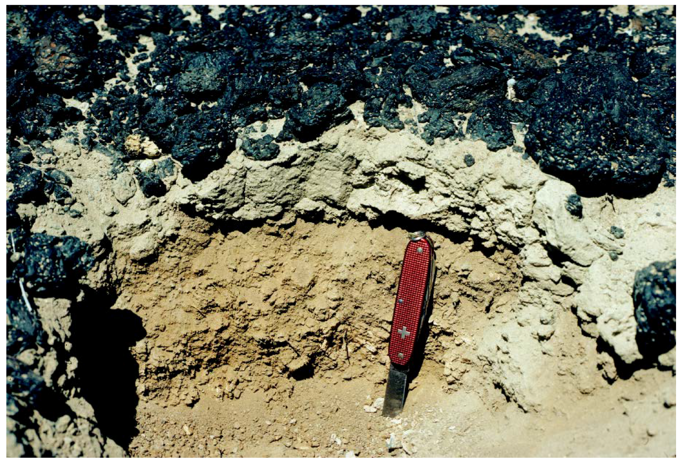 Geosciences 08 00171 g007