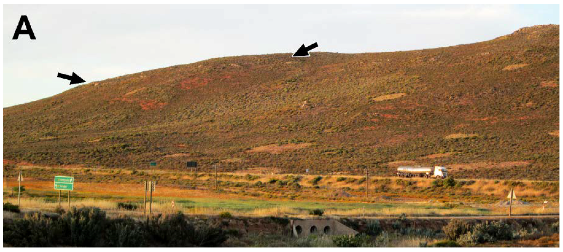 Geosciences 08 00171 g013a