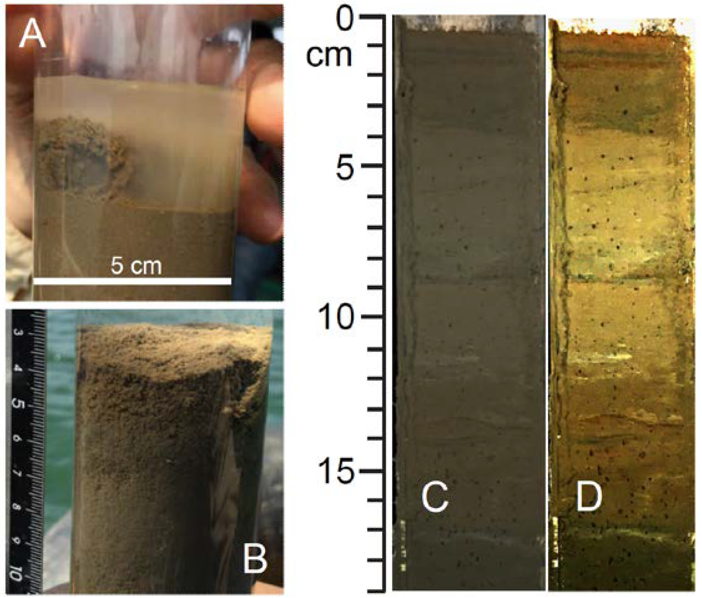 Geosciences 08 00176 g004 550