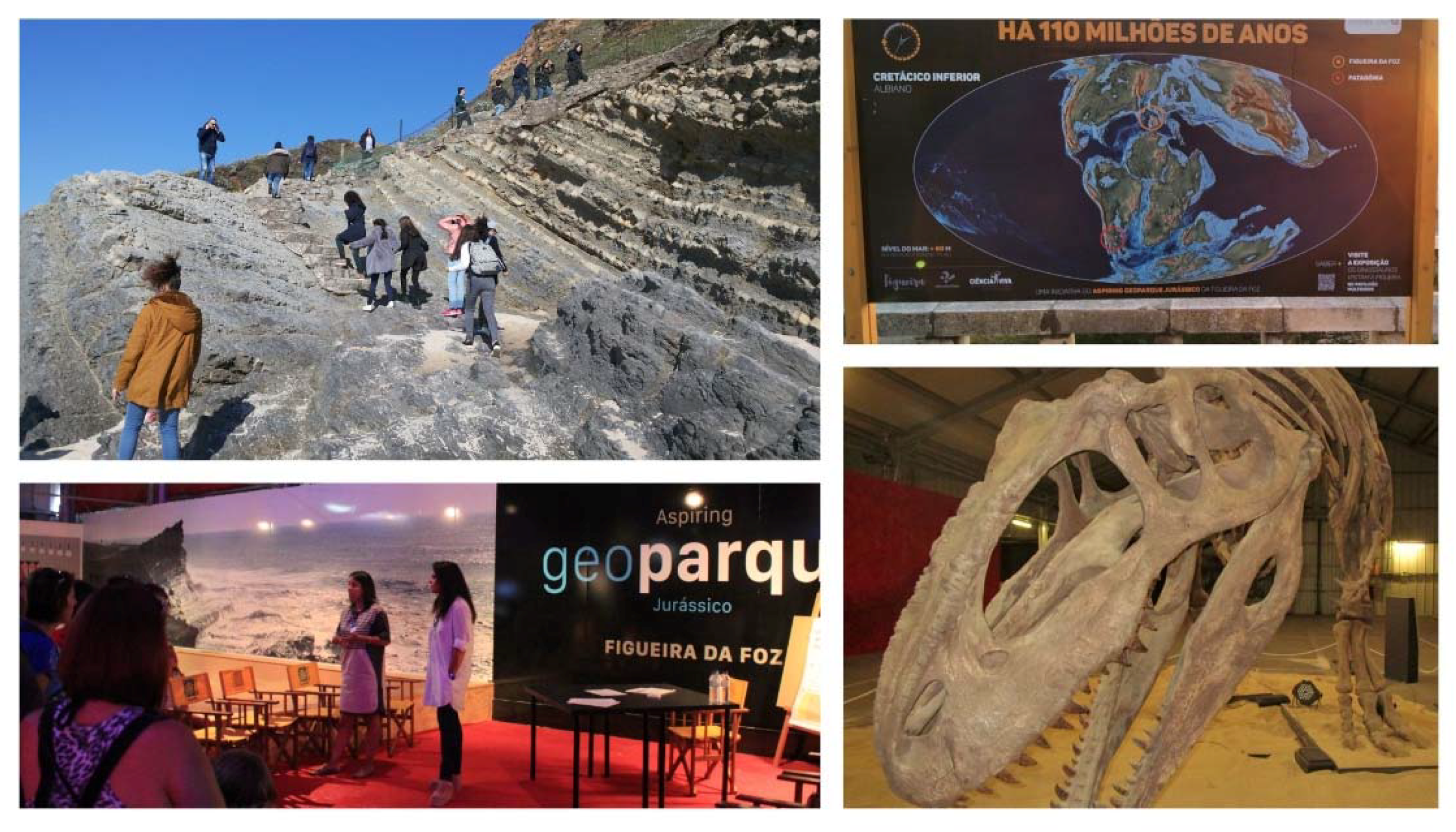 Geosciences 08 00190 g005 Geosciences 08 00190 g005