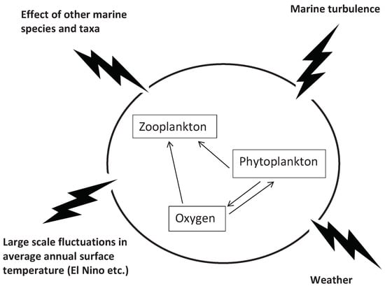 Solved C. Zooplankton density: Let us assume, the plankton