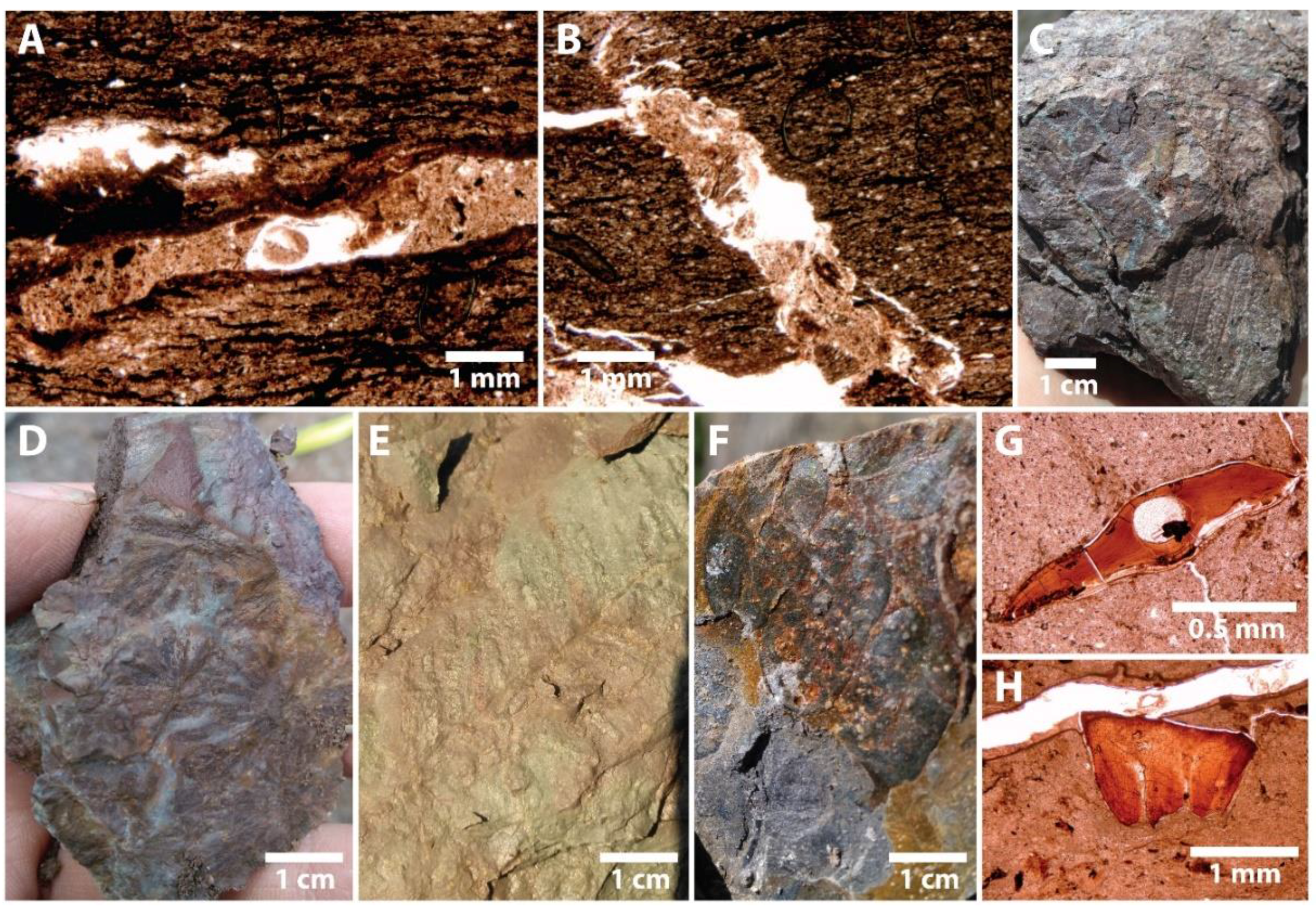 Geosciences 08 00203 g006 Geosciences 08 00203 g006