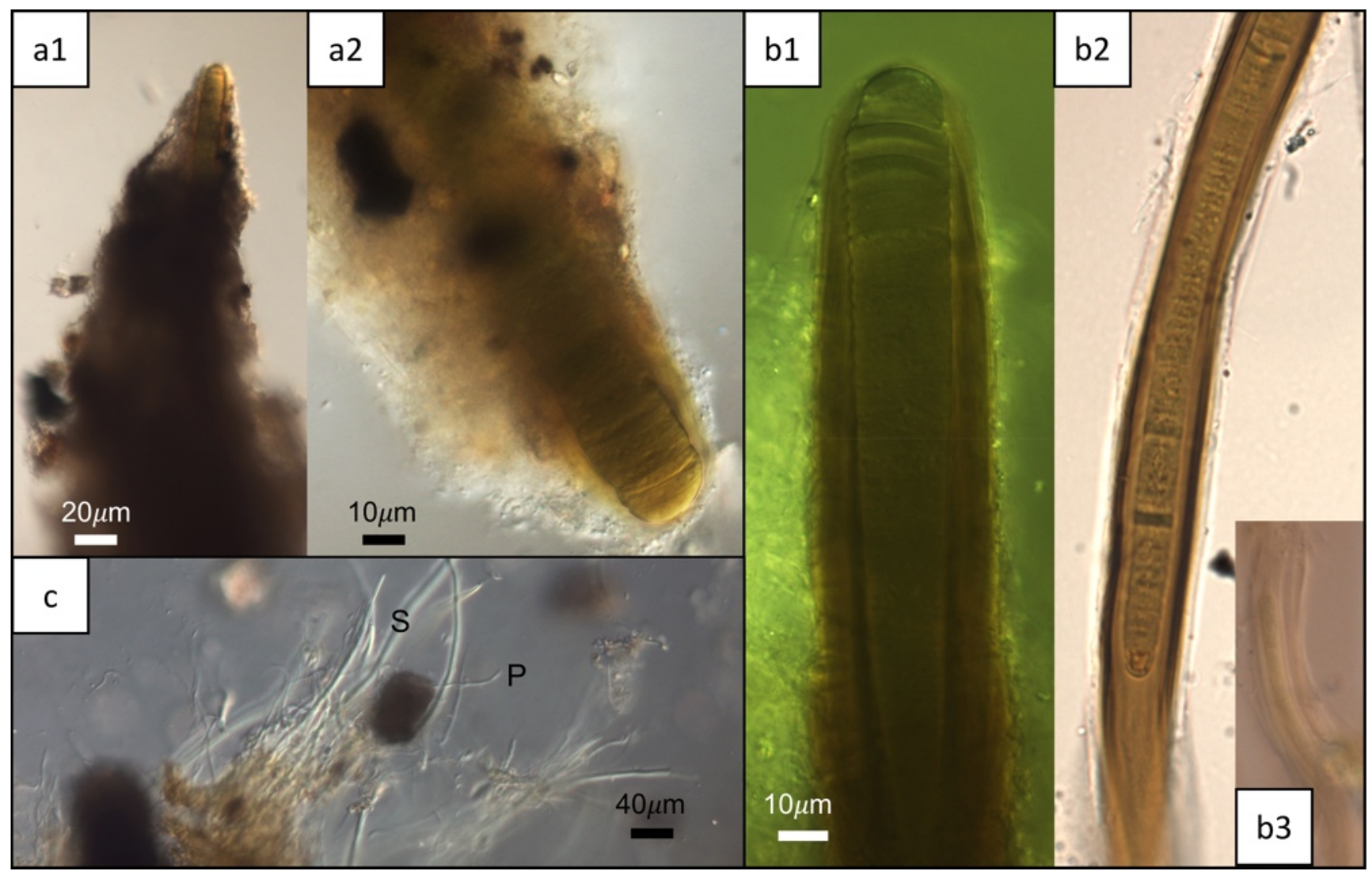 Geosciences 08 00212 g005