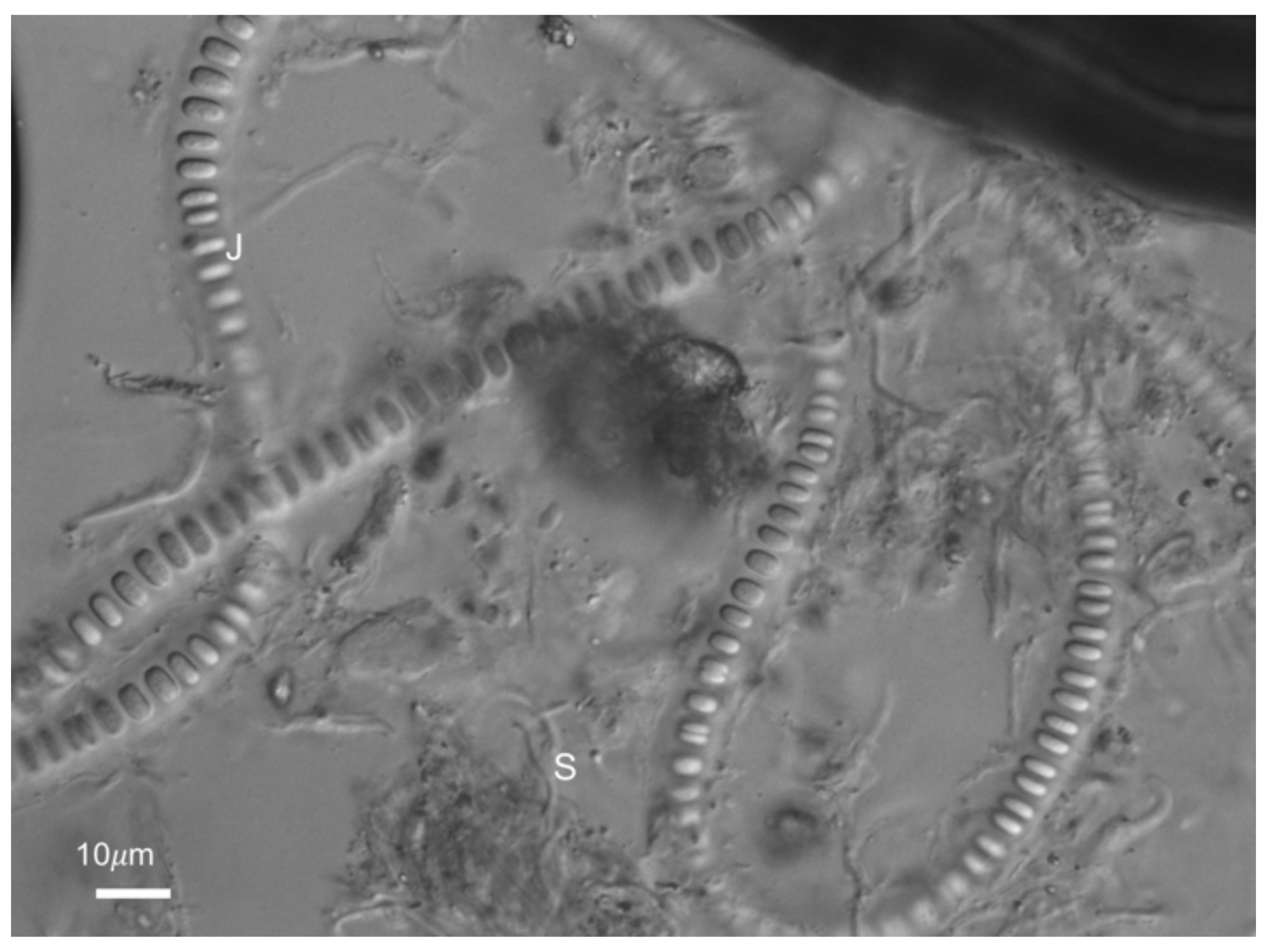 Geosciences 08 00212 g006