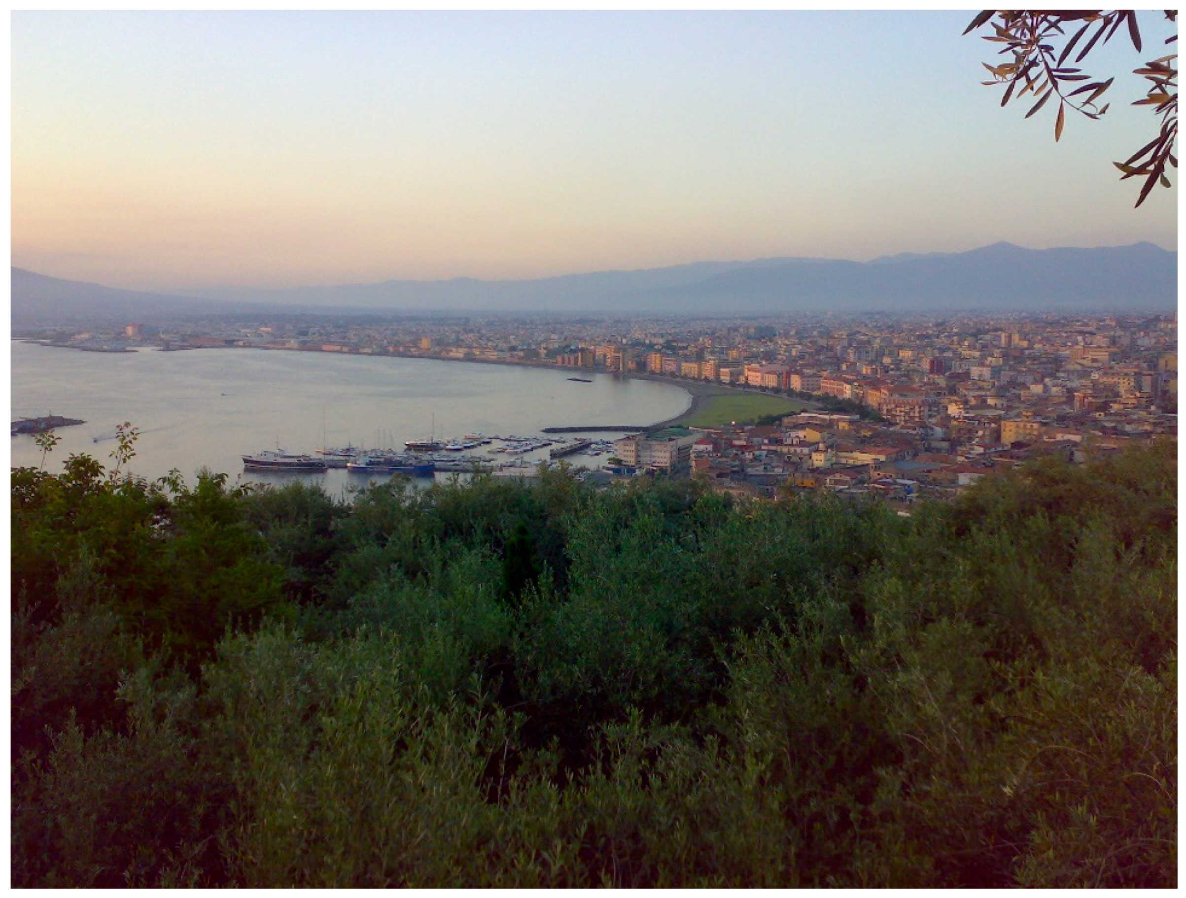 Geosciences 08 00235 g009 Geosciences 08 00235 g009