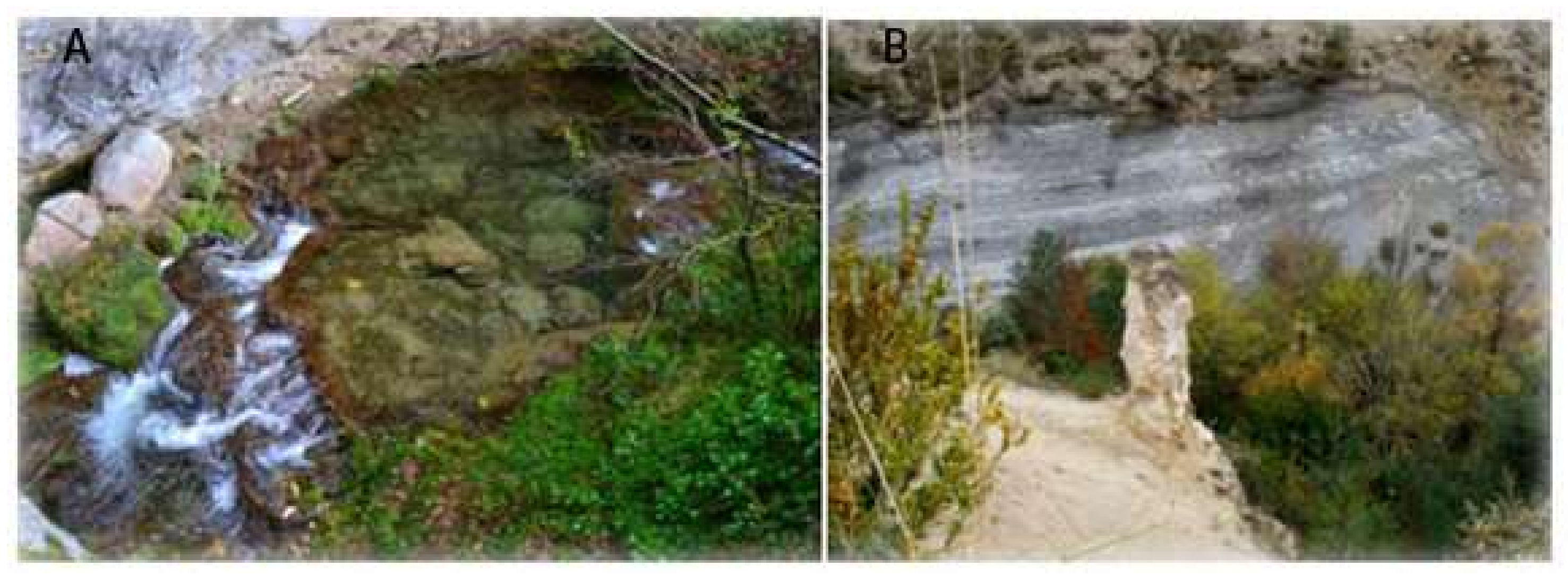Geosciences 08 00250 g003