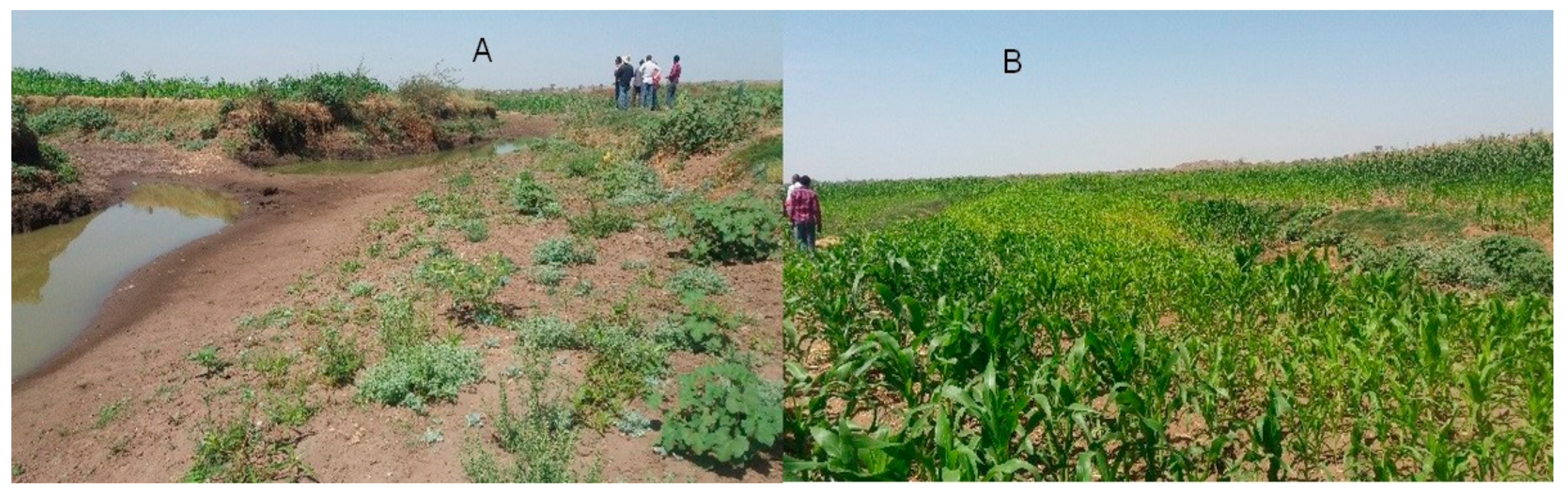 Geosciences 08 00255 g005