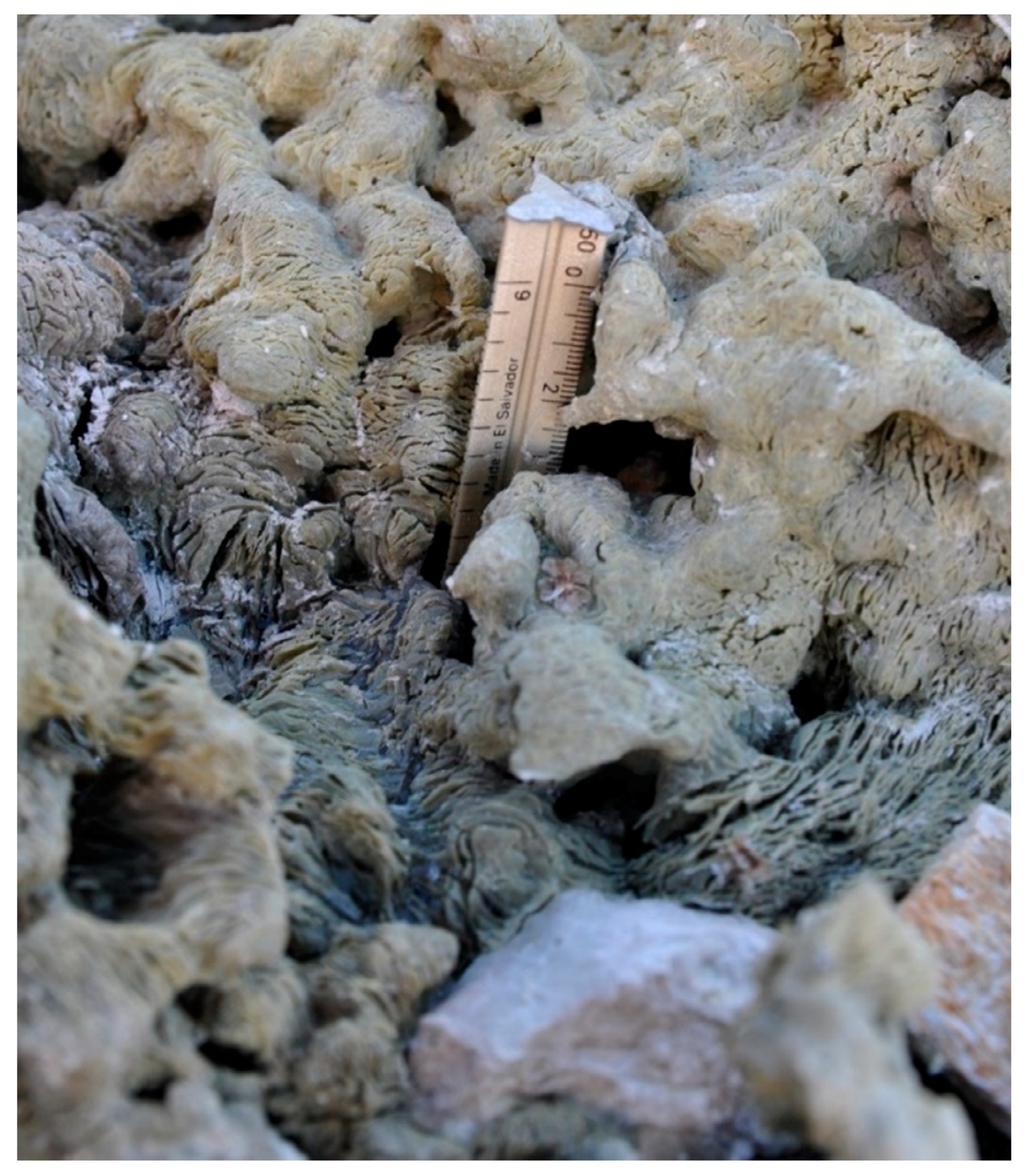 Geosciences 08 00267 g003