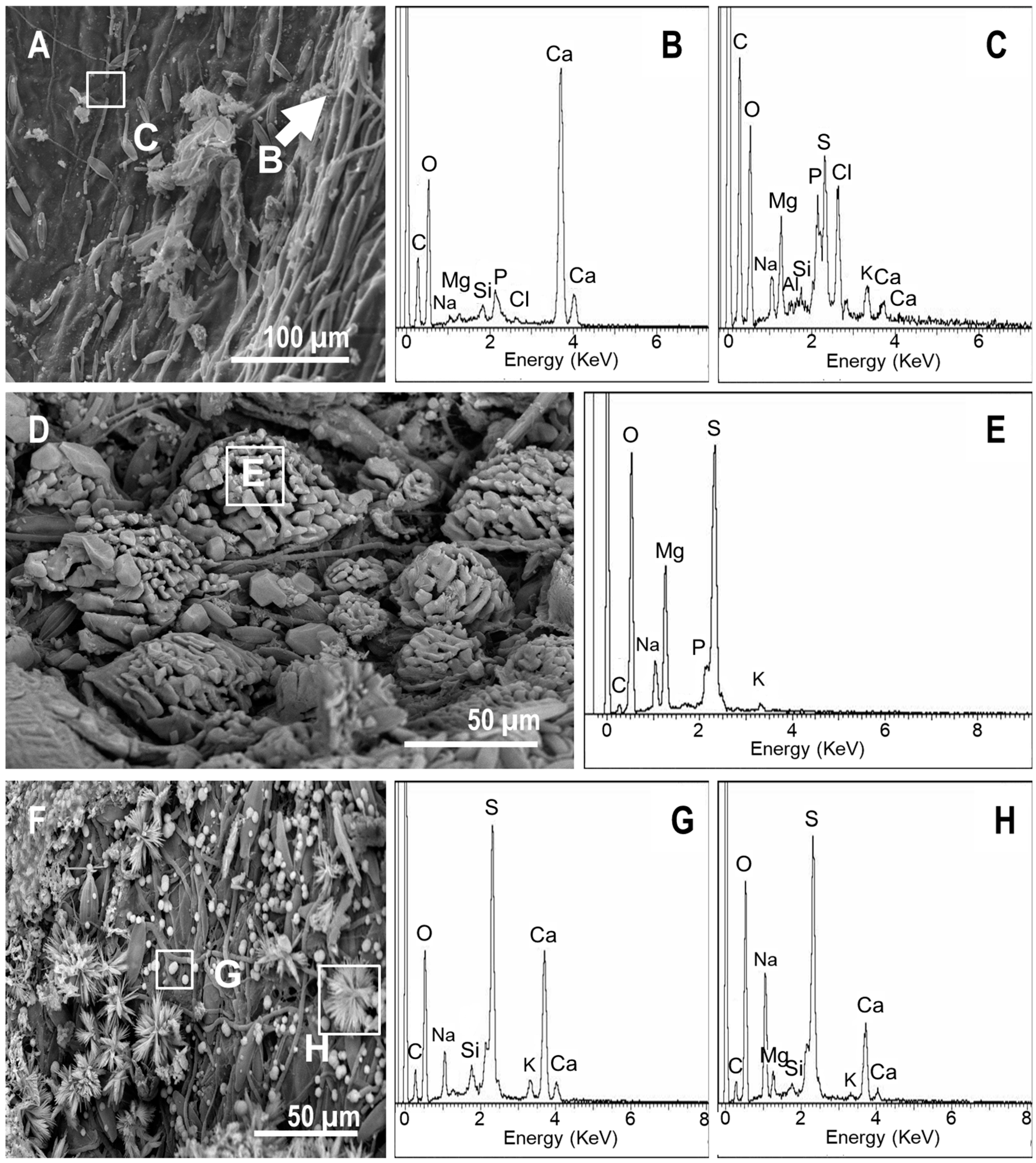 Geosciences 08 00387 g009a Geosciences 08 00387 g009a