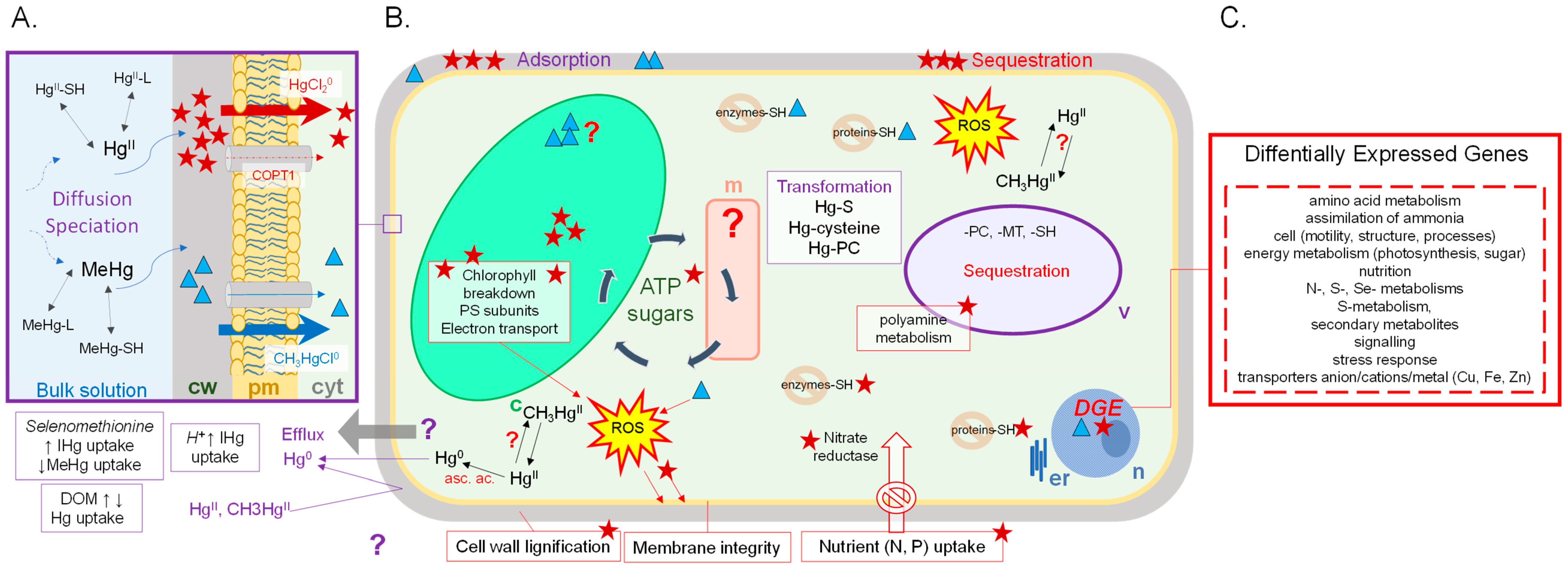 Geosciences 08 00393 g001 Geosciences 08 00393 g001