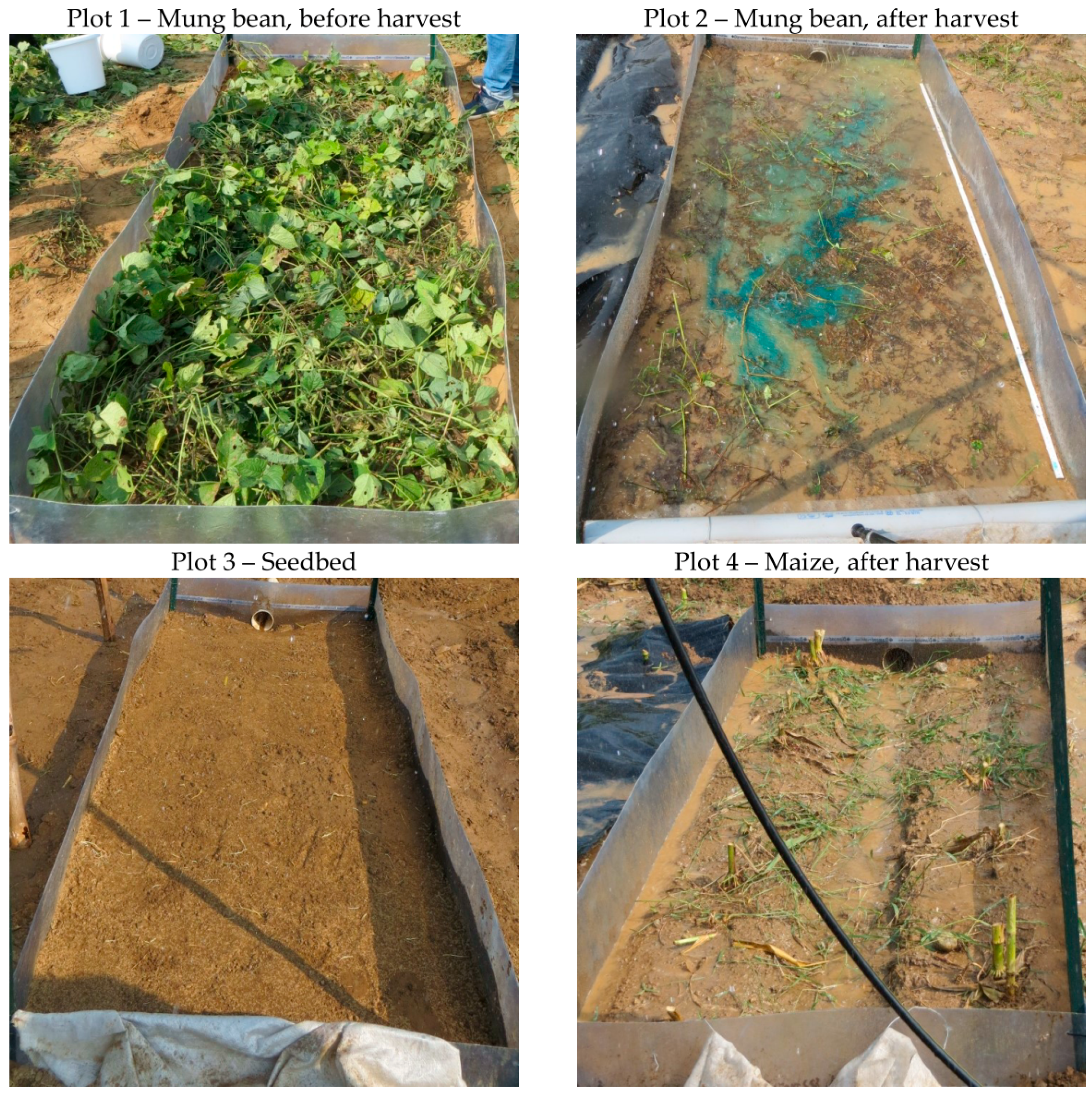 Geosciences 08 00396 g003 Geosciences 08 00396 g003