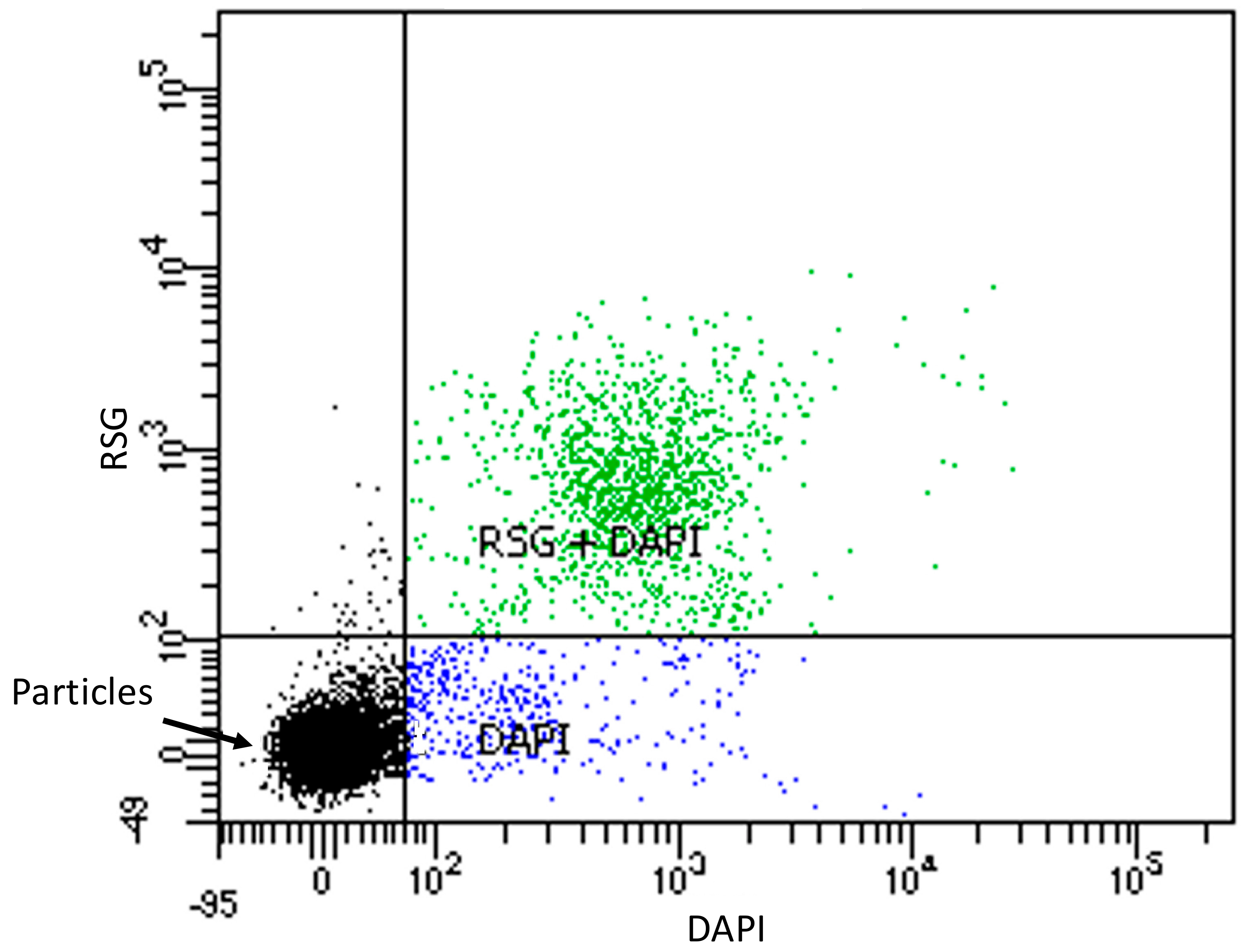 Geosciences 08 00399 g004 Geosciences 08 00399 g004