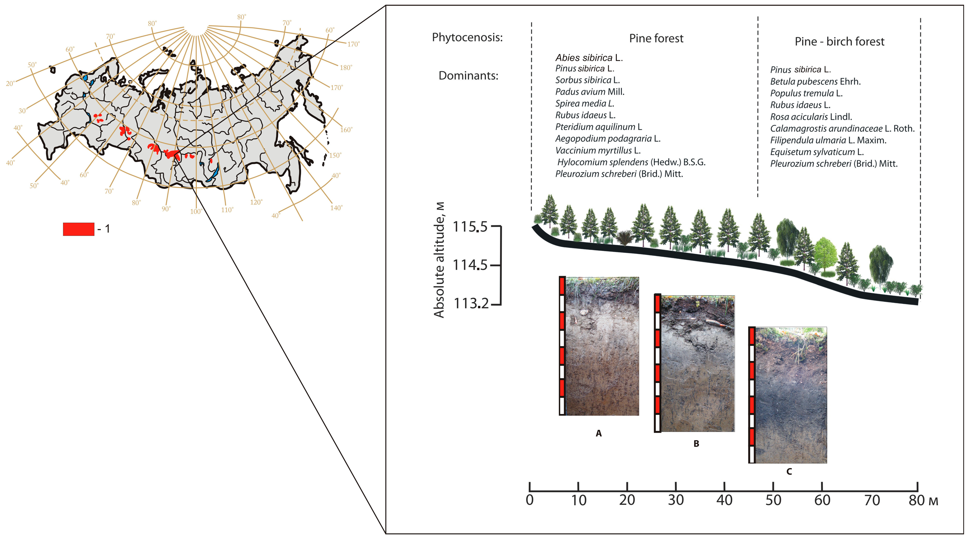 Geosciences 08 00402 g001