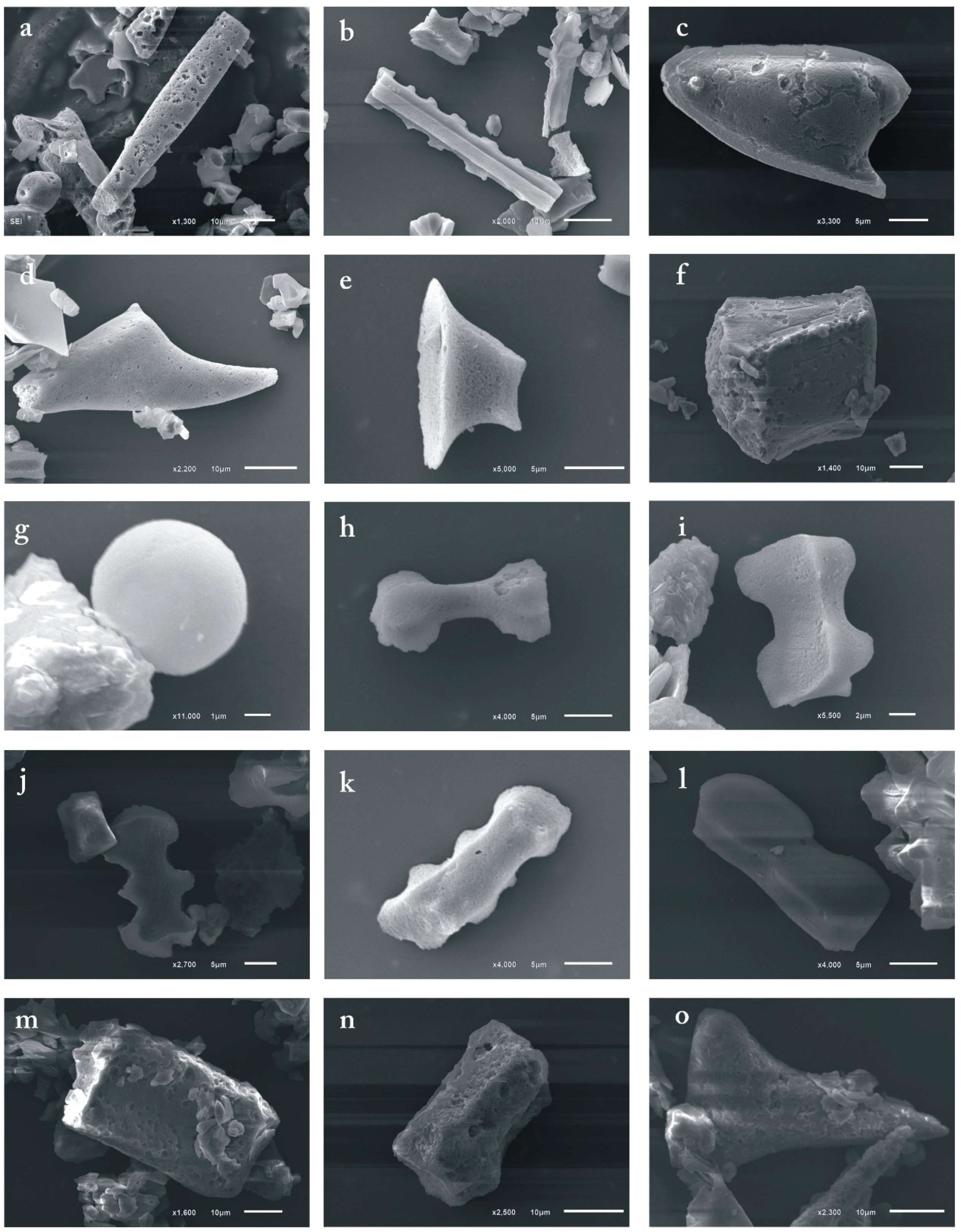 Geosciences 08 00402 g002