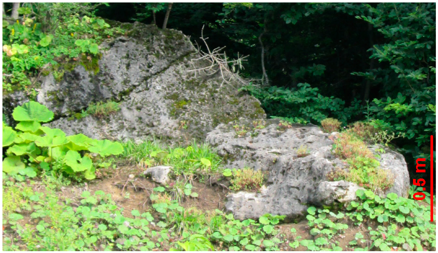 Geosciences 08 00413 g002